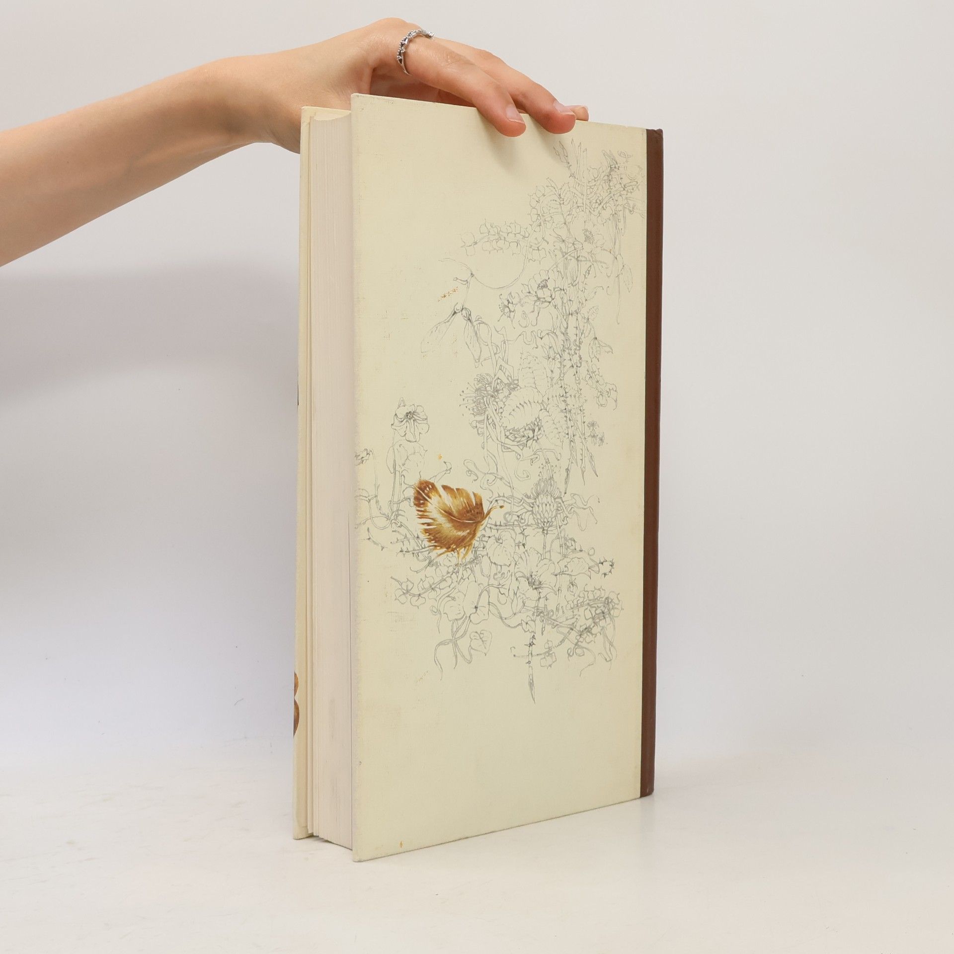 Günther Niethammer Das Reader's Digest Buch der Vogelwelt Mitteleuropas