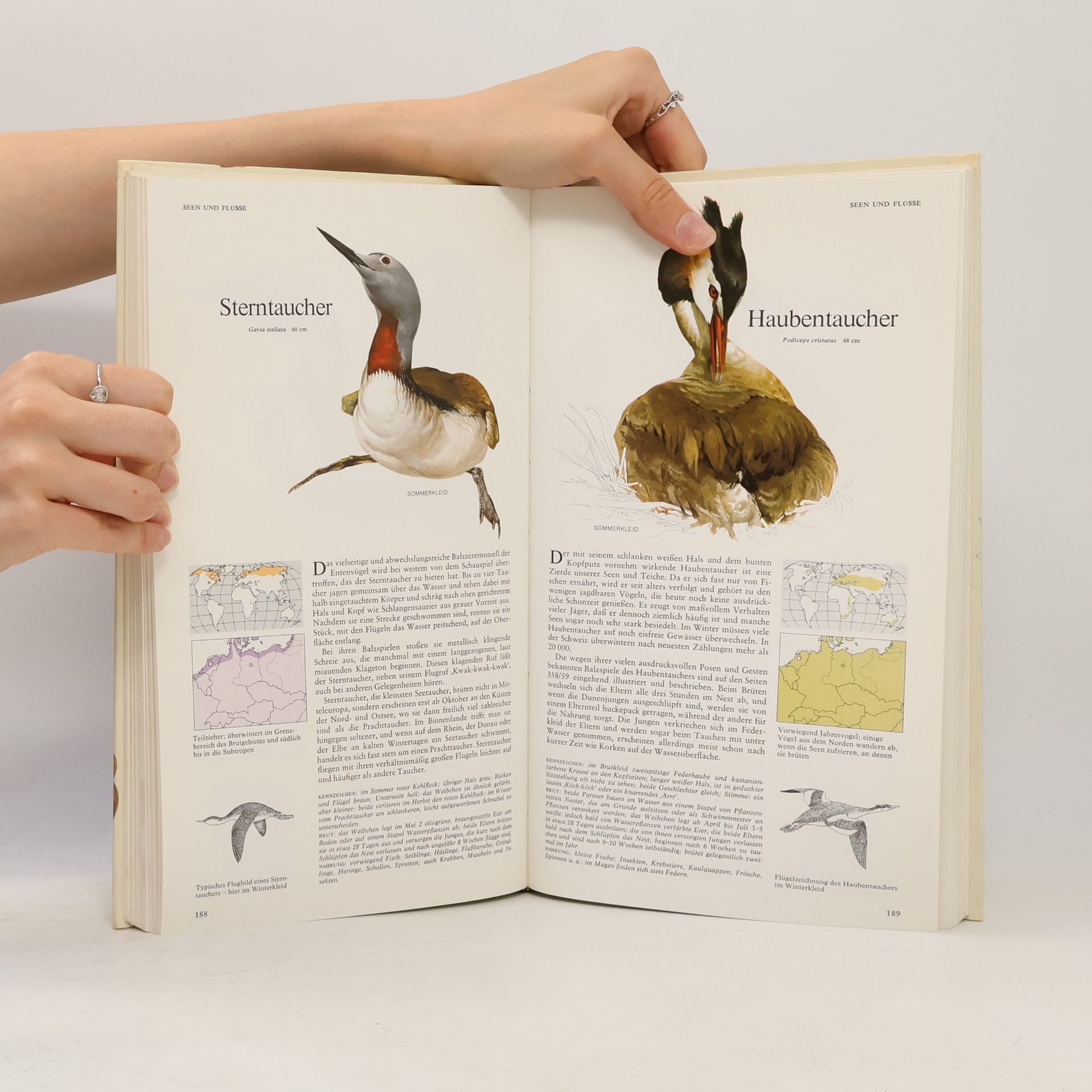 Günther Niethammer Das Reader's Digest Buch der Vogelwelt Mitteleuropas