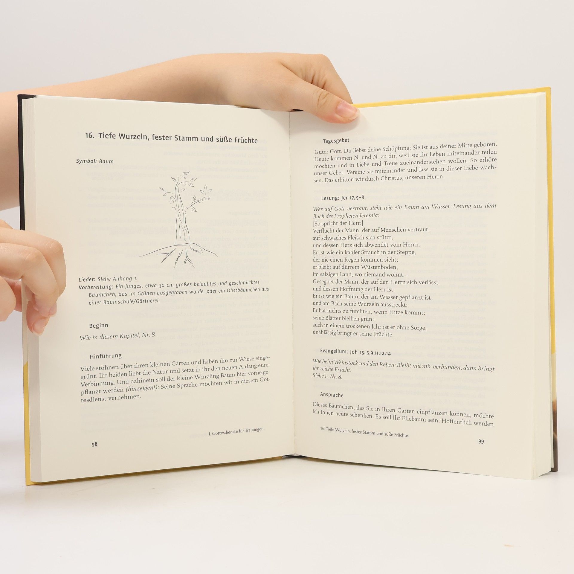 Willi Hoffsommer Das große Buch der Trauungen und Ehejubiläen