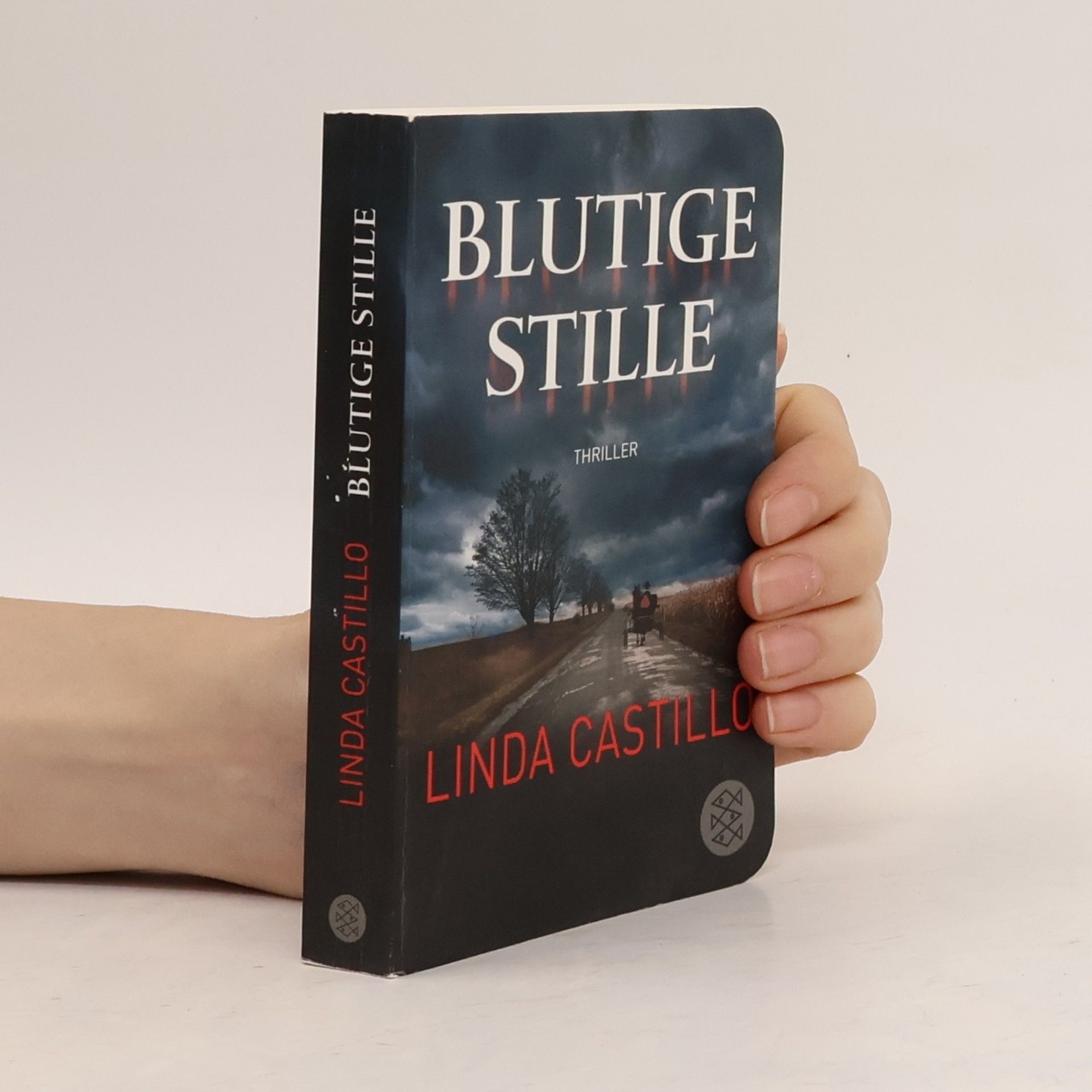 Linda Castillo Blutige Stille
