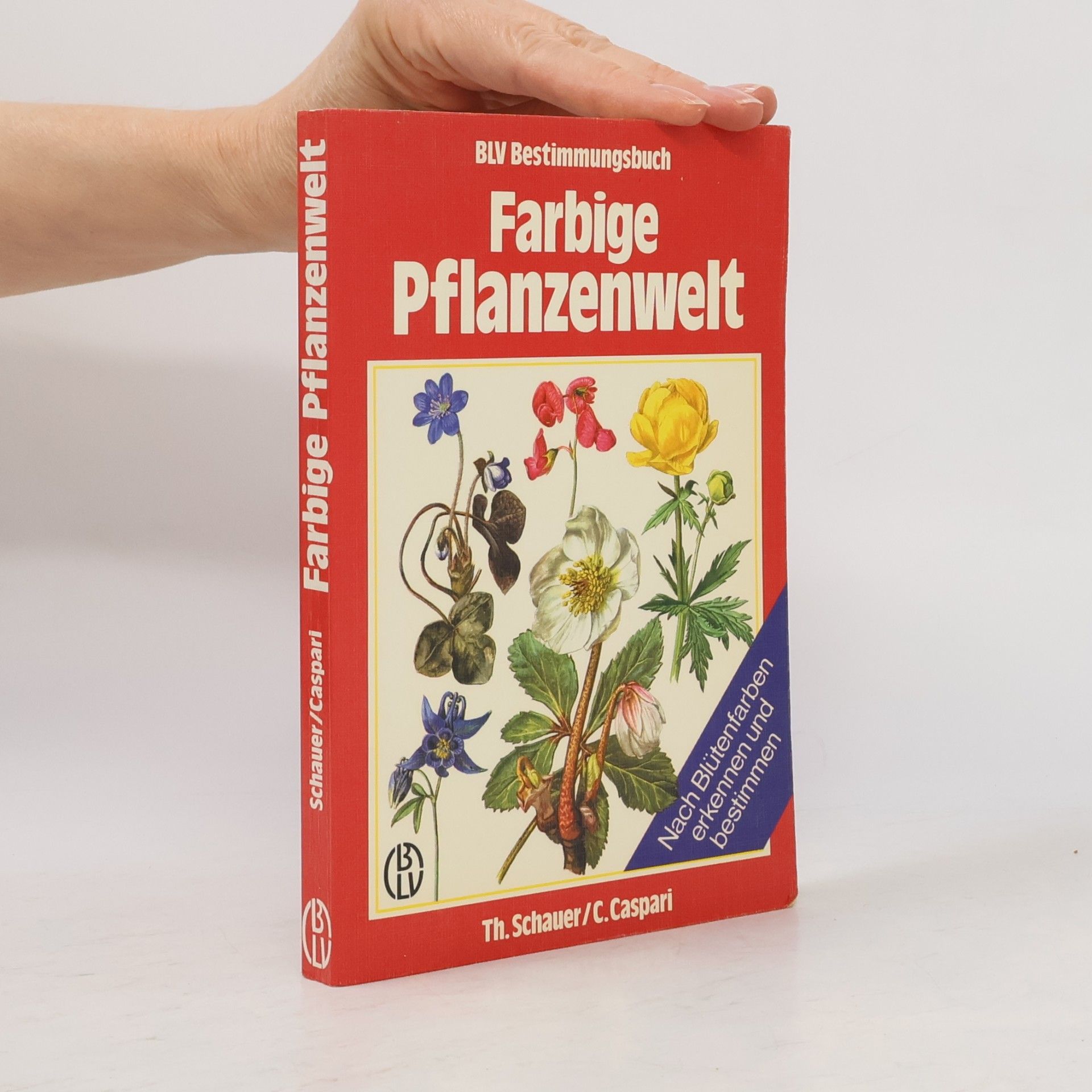 Farbige Pflanzenwelt