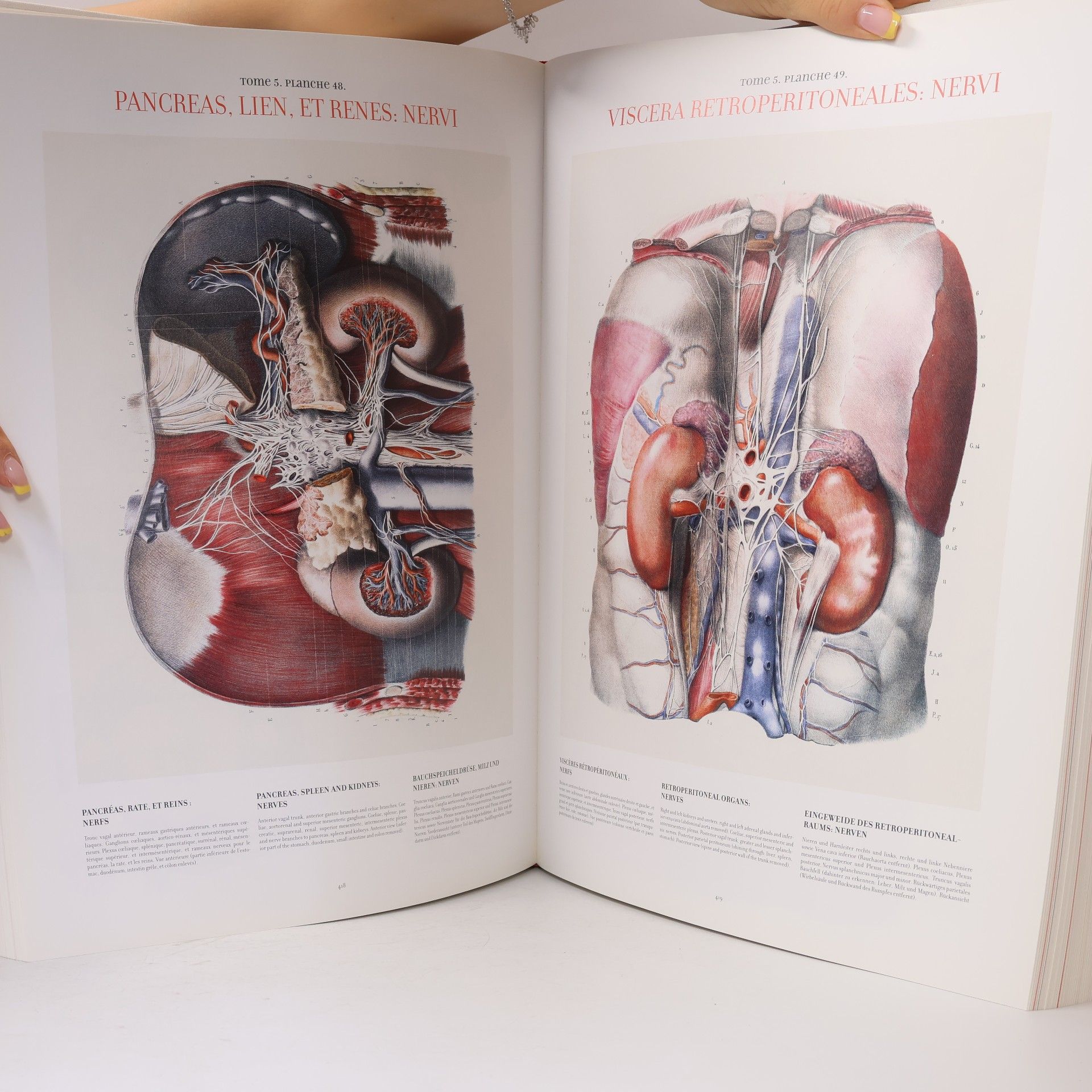 J. M. Bourgery Atlas of Human Anatomy and Surgery