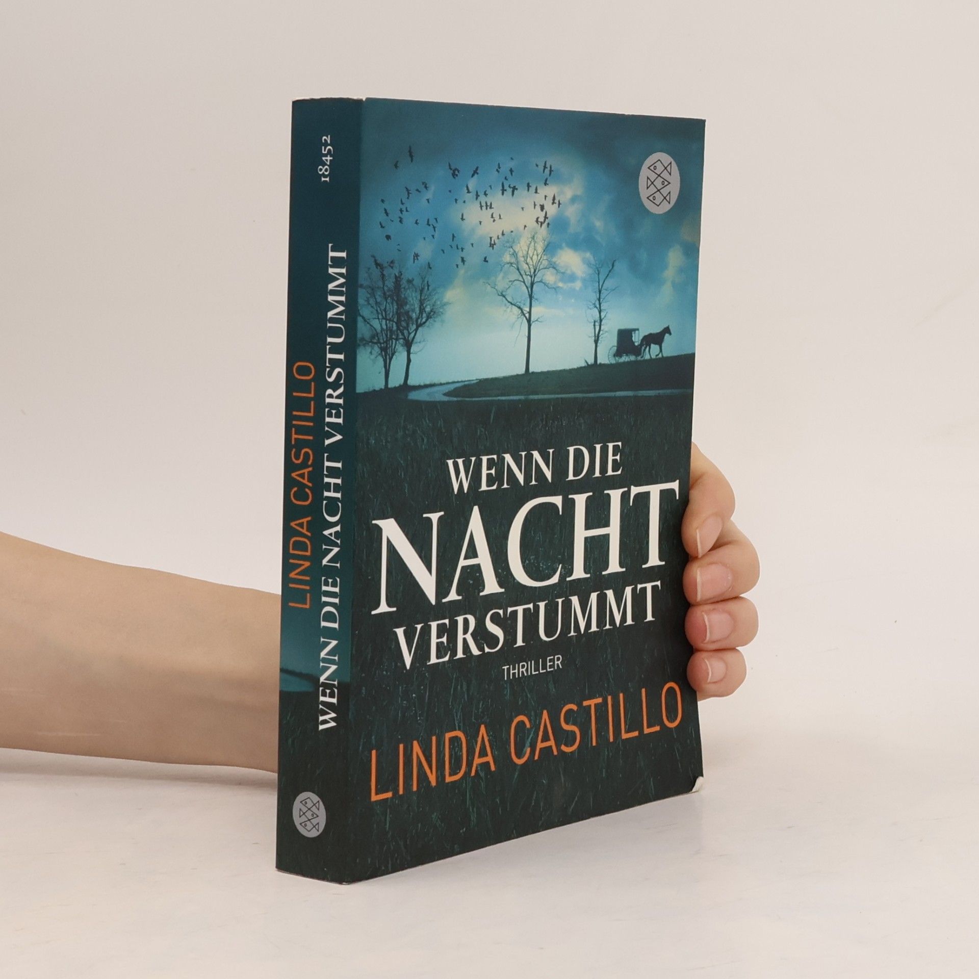 Linda Castillo Wenn die Nacht verstummt