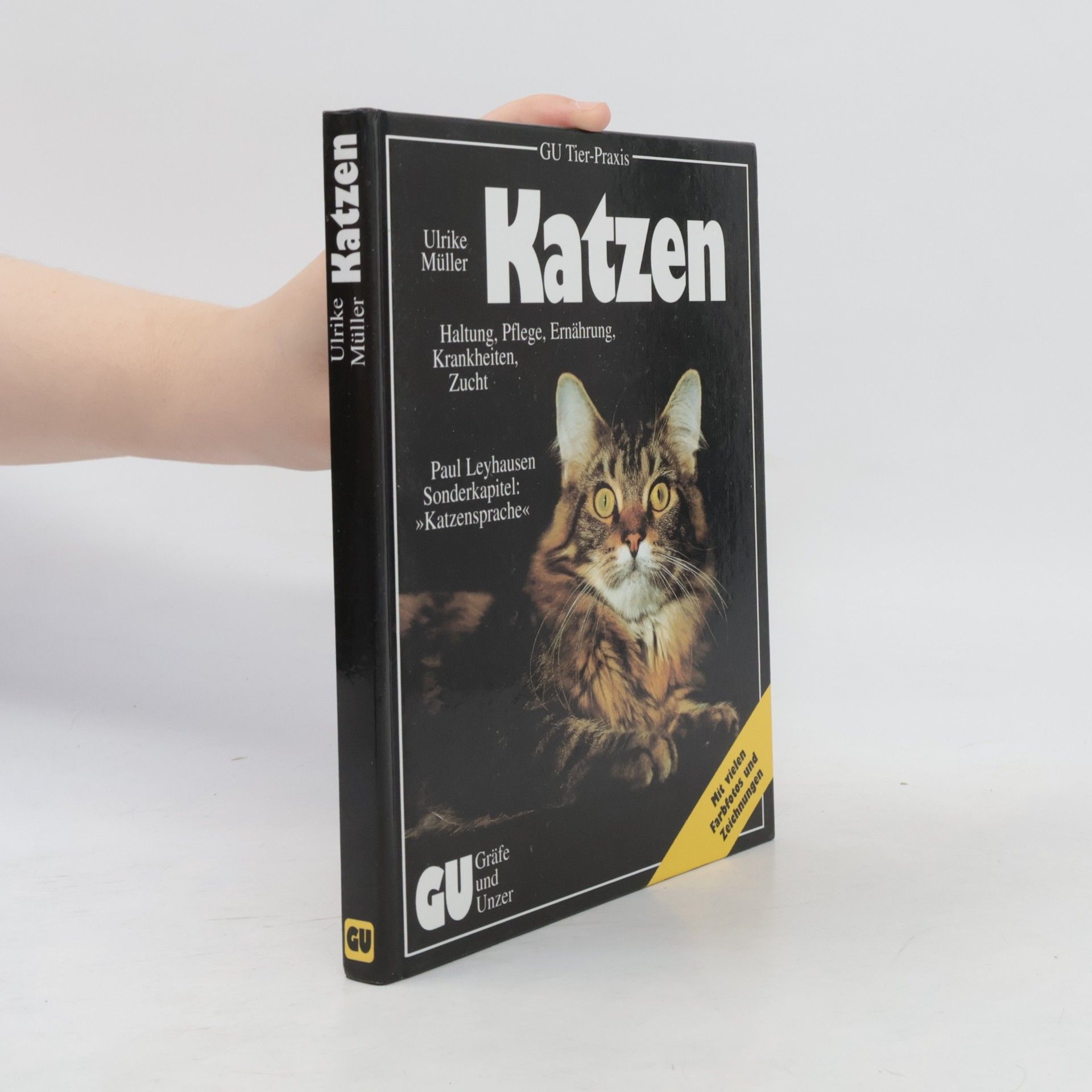 Ulrike Müller Katzen