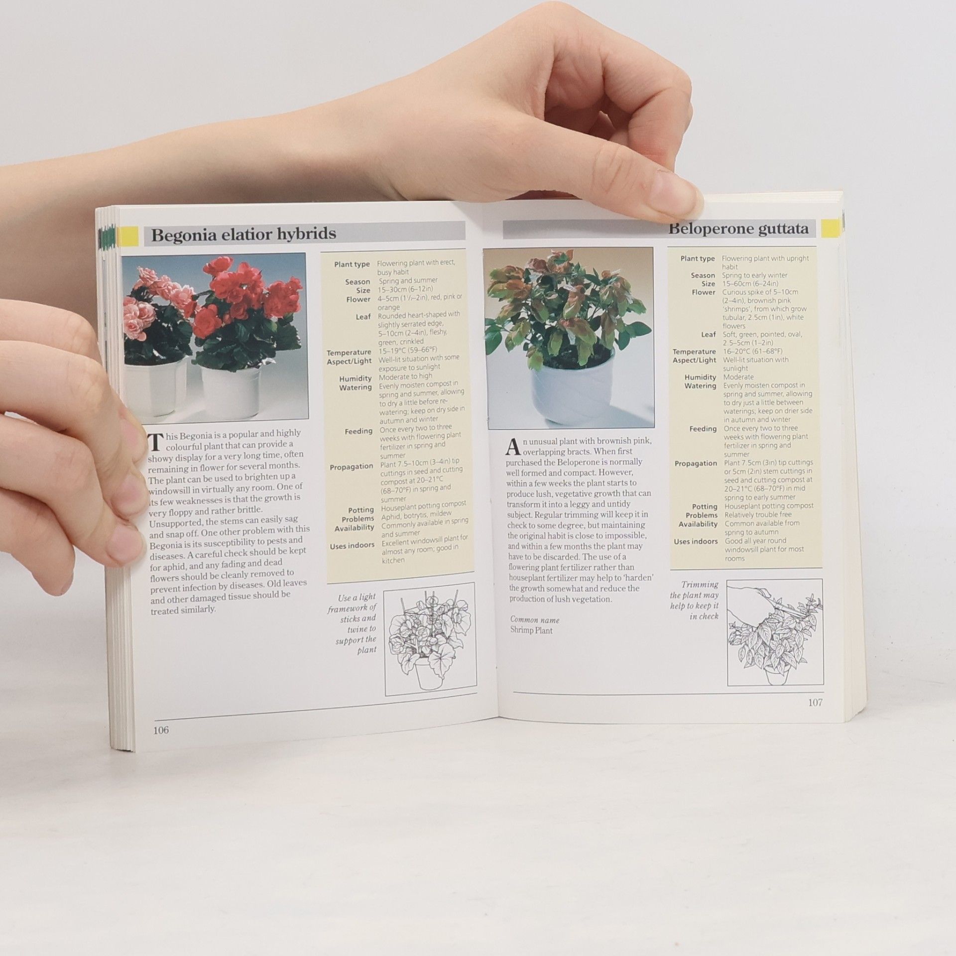 Ken March Larousse Pocket Guides