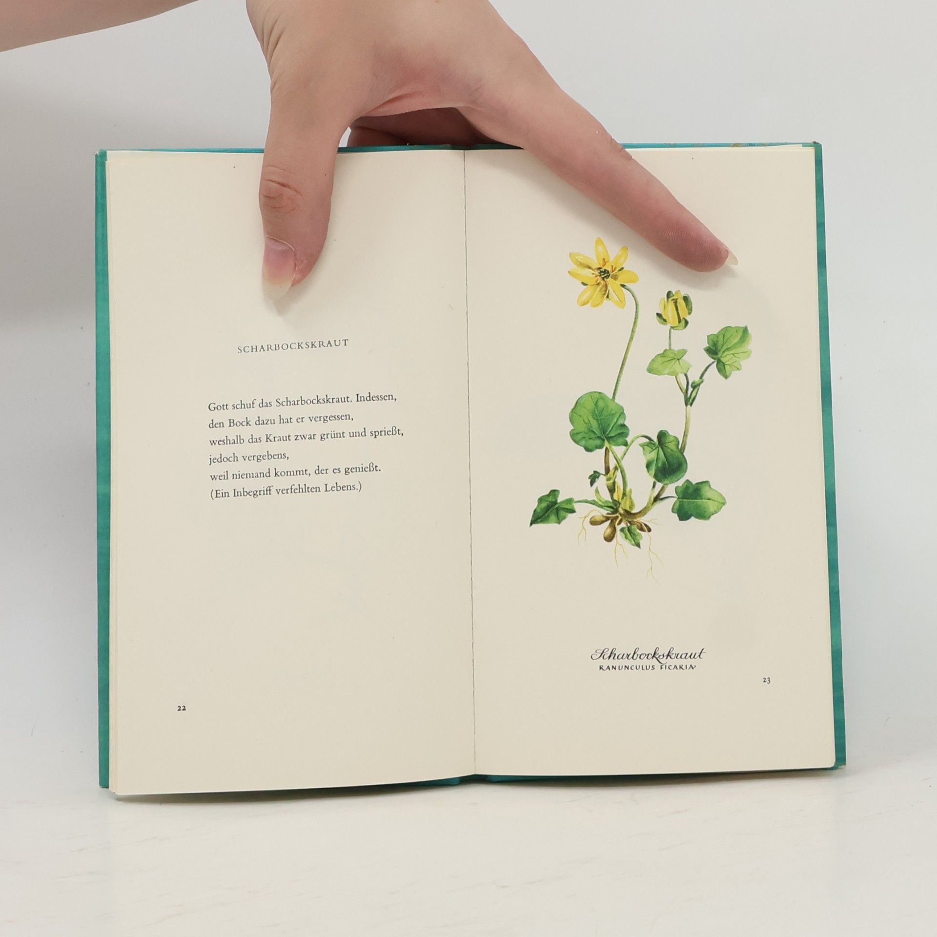 Karl Heinrich Waggerl Heiters Herbarium: Blumen und Verse