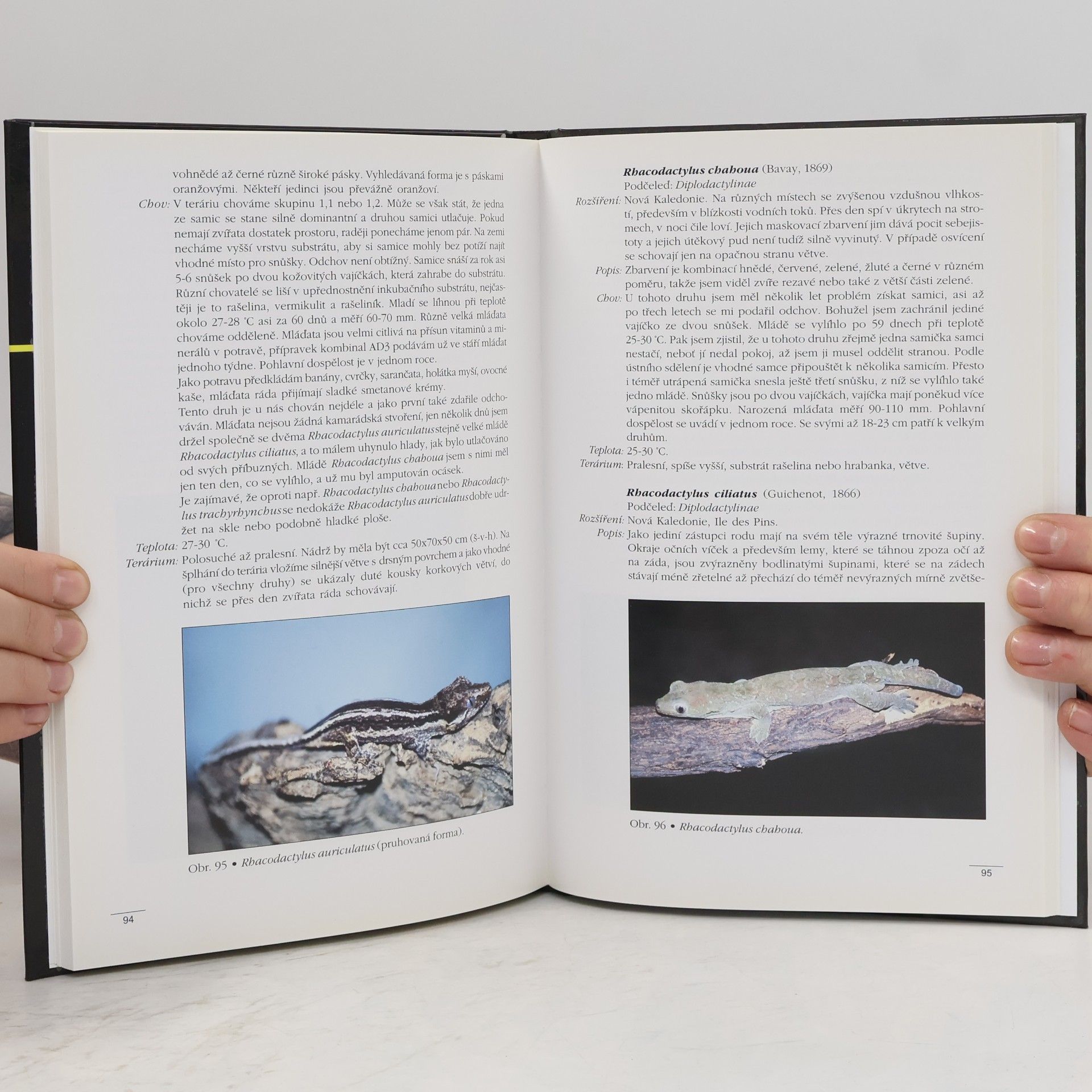 Lubomír Klátil Obrazový atlas gekonů