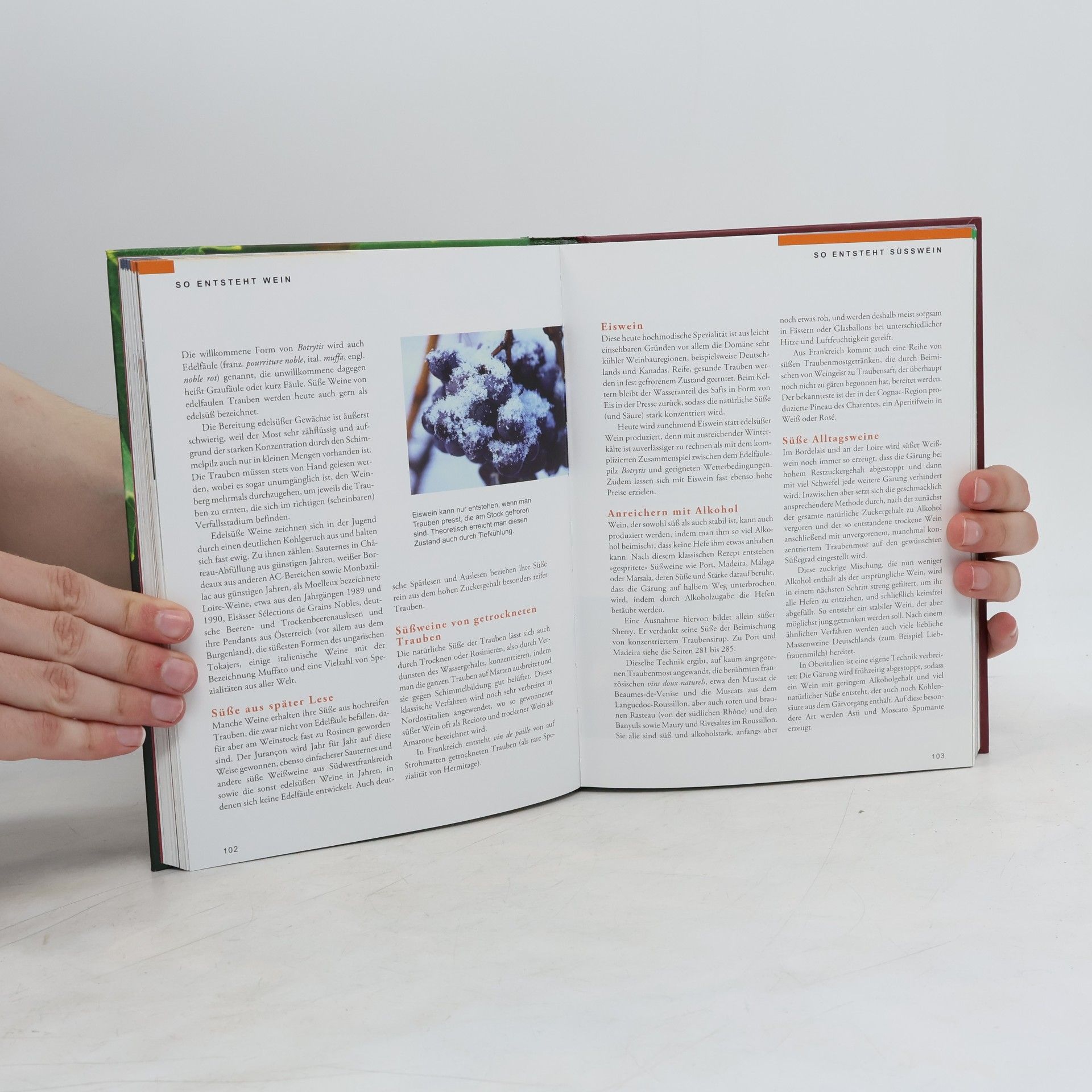 Jancis Robinson Das Hallwag-Handbuch Wein