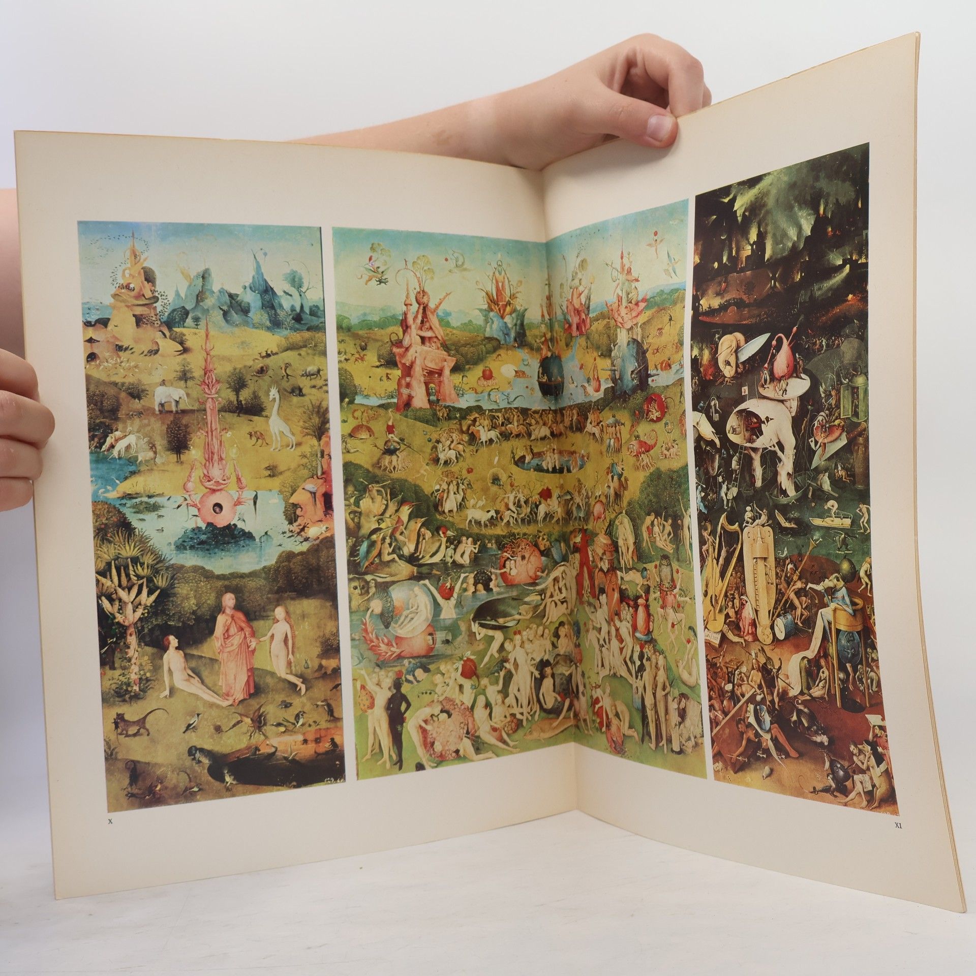 Autorenkollektiv Meesters der schilderkunst. Jeroen Bosch