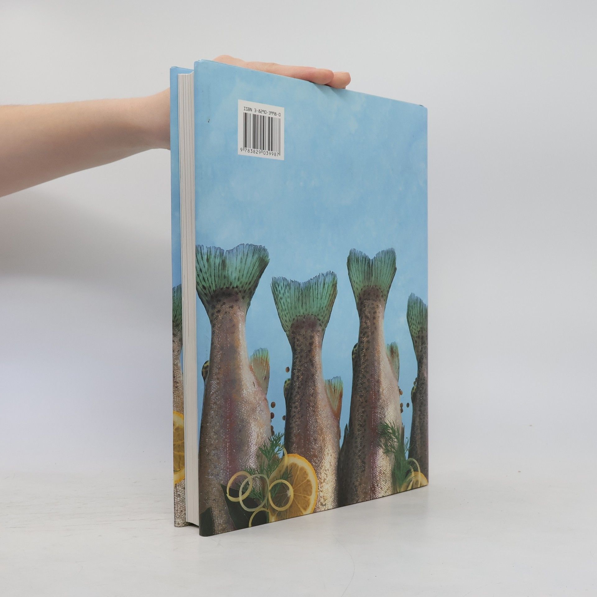 Autorenkollektiv Das grosse Kochbuch der Fische & Meeresfrüchte