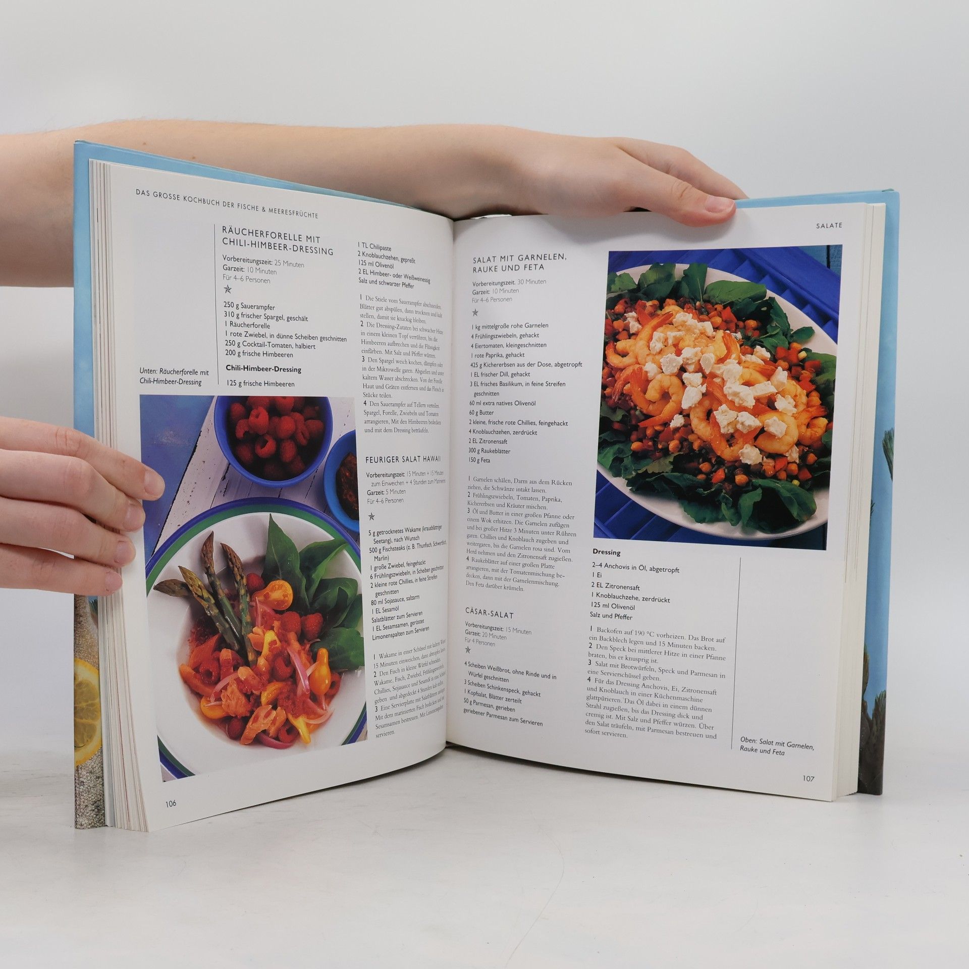 Autorenkollektiv Das grosse Kochbuch der Fische & Meeresfrüchte