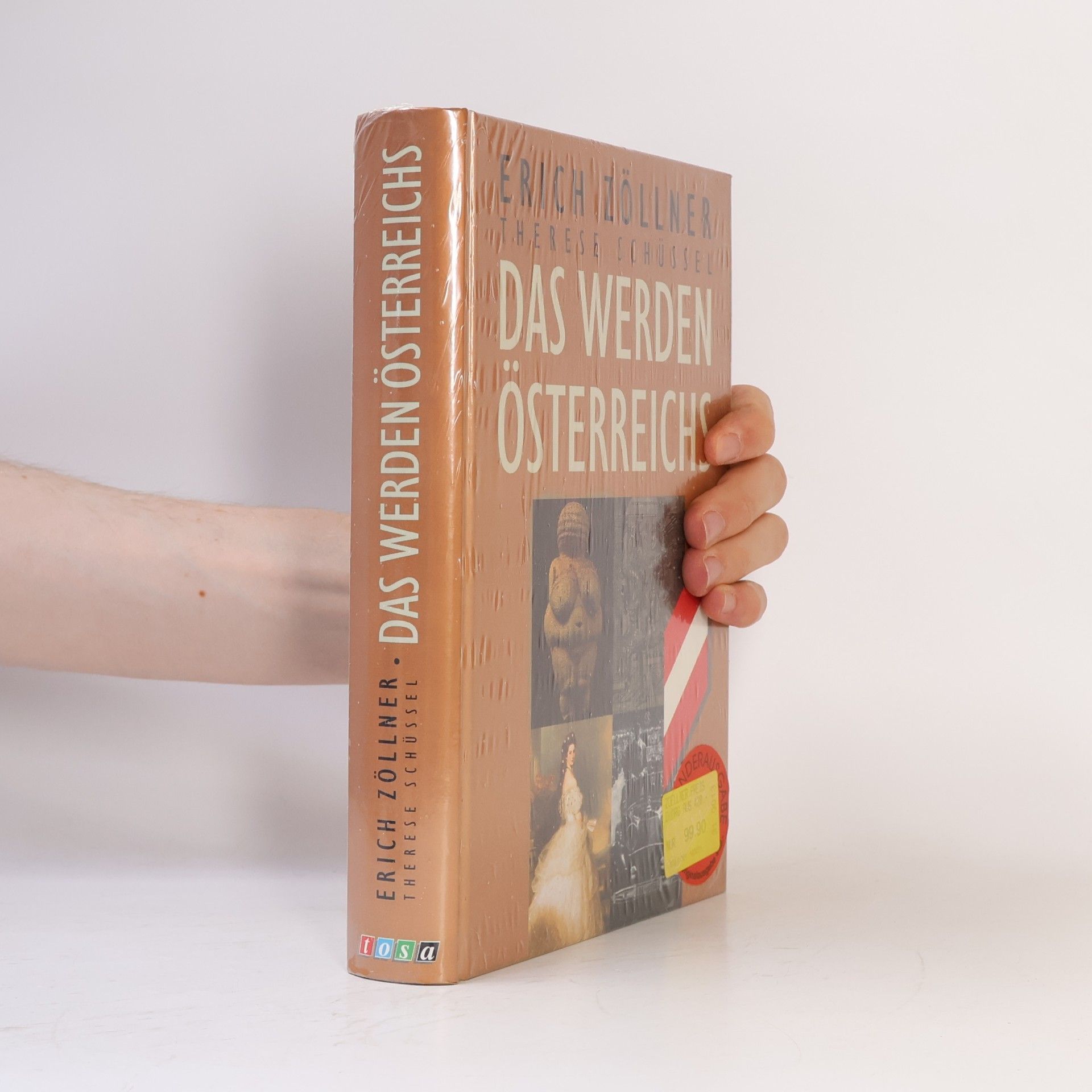 Erich Zöllner Das Werden Österreichs