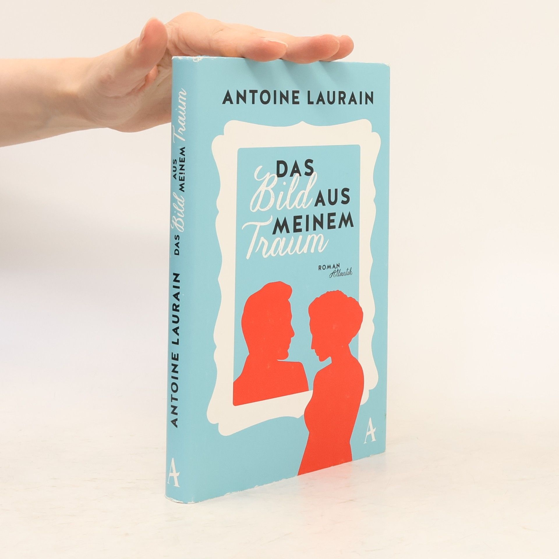 Antoine Laurain Das Bild aus meinem Traum