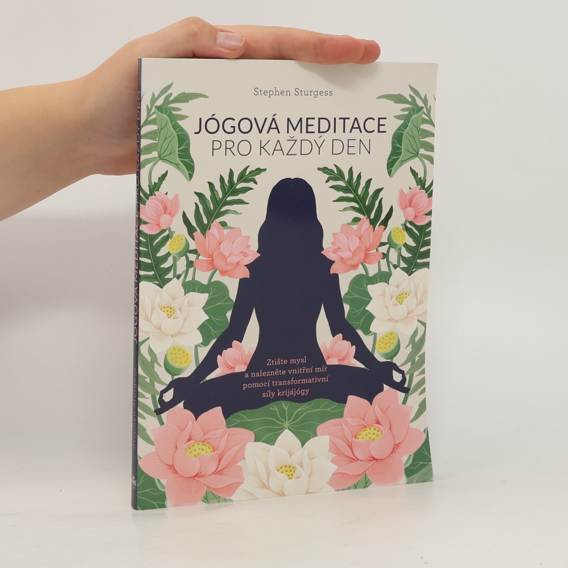 Stephen Sturess Jógová meditace pro každý den