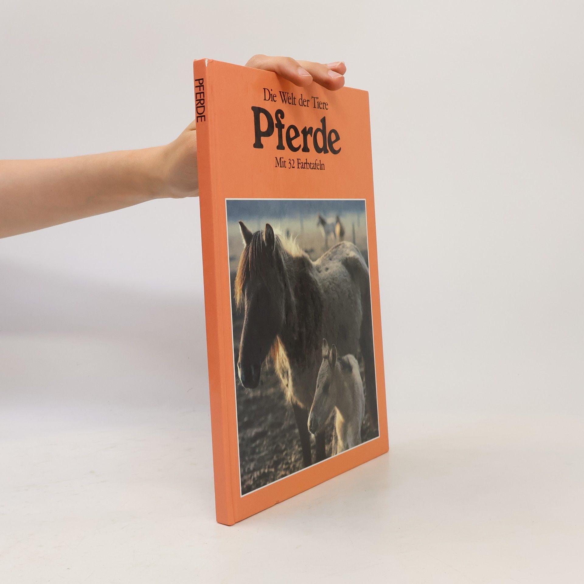 Autorenkollektiv Die Welt der Tiere. Pferde