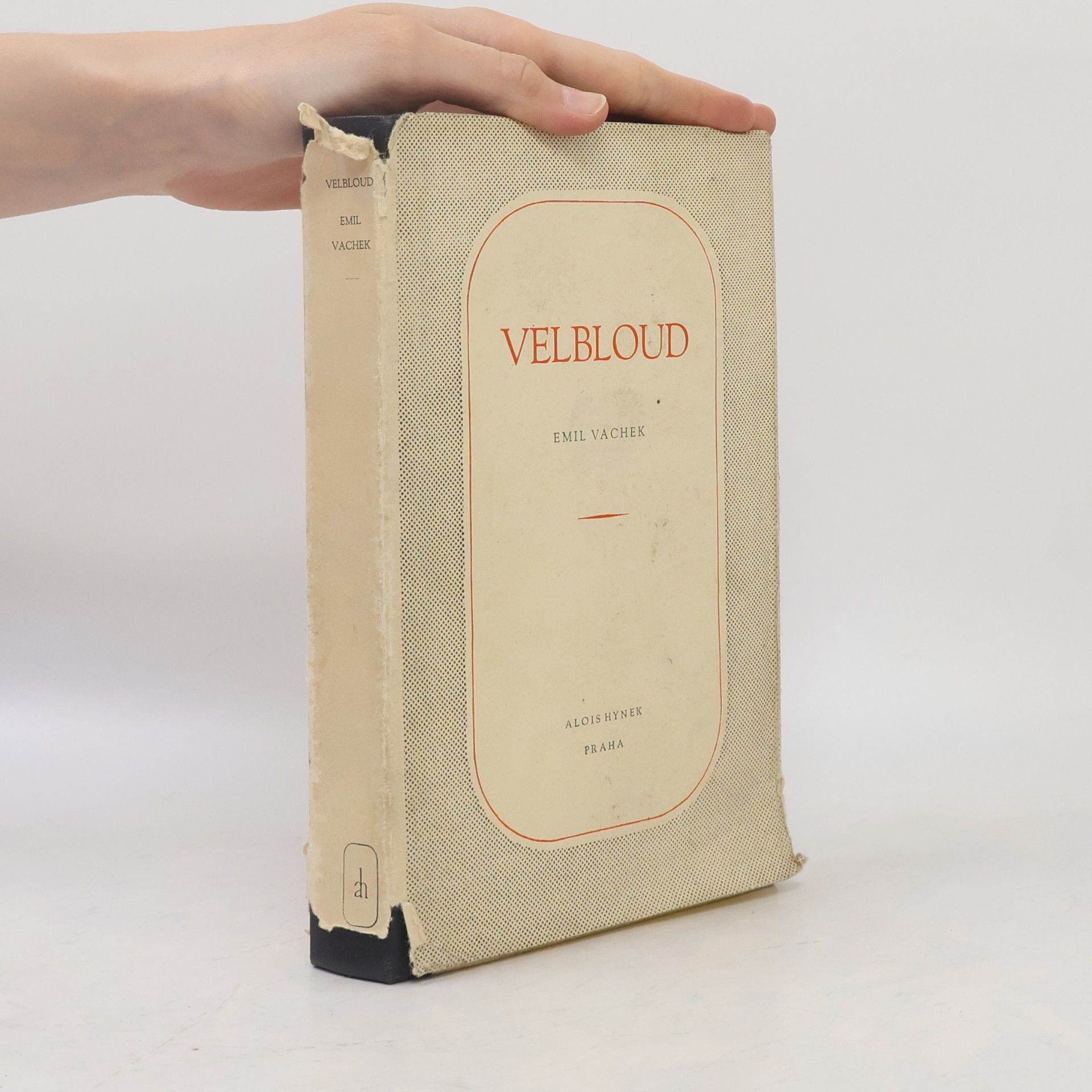 Velbloud
