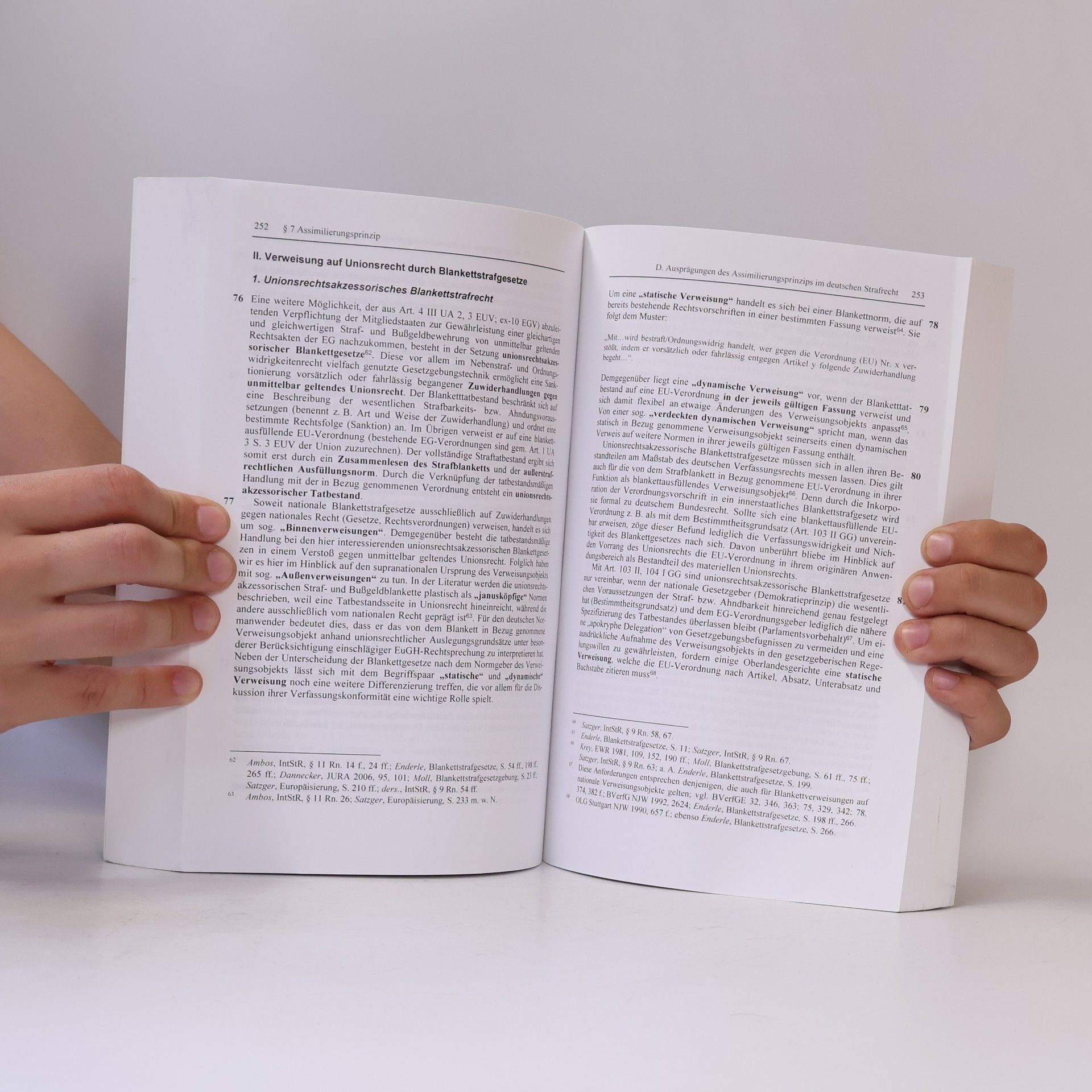 Bernd Hecker Springer-Lehrbuch: Europäisches Strafrecht - 3. Auflage
