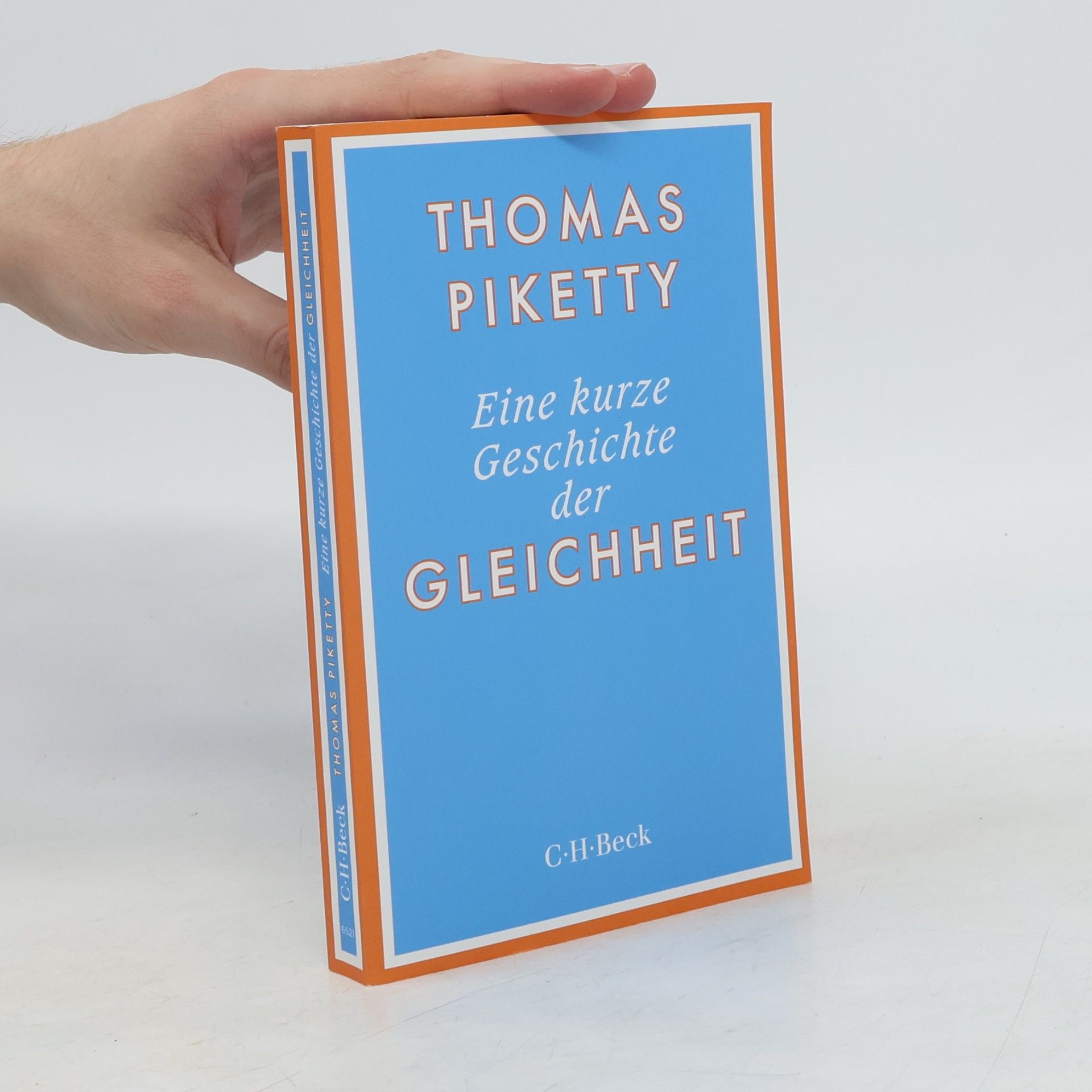 Thomas Piketty Eine kurze Geschichte der Gleichheit
