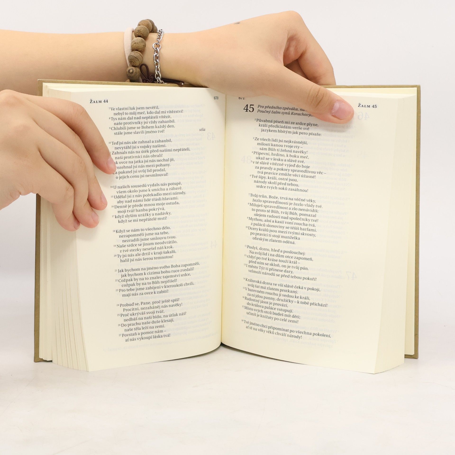 Alexandr Flek Bible. Překlad 21. století