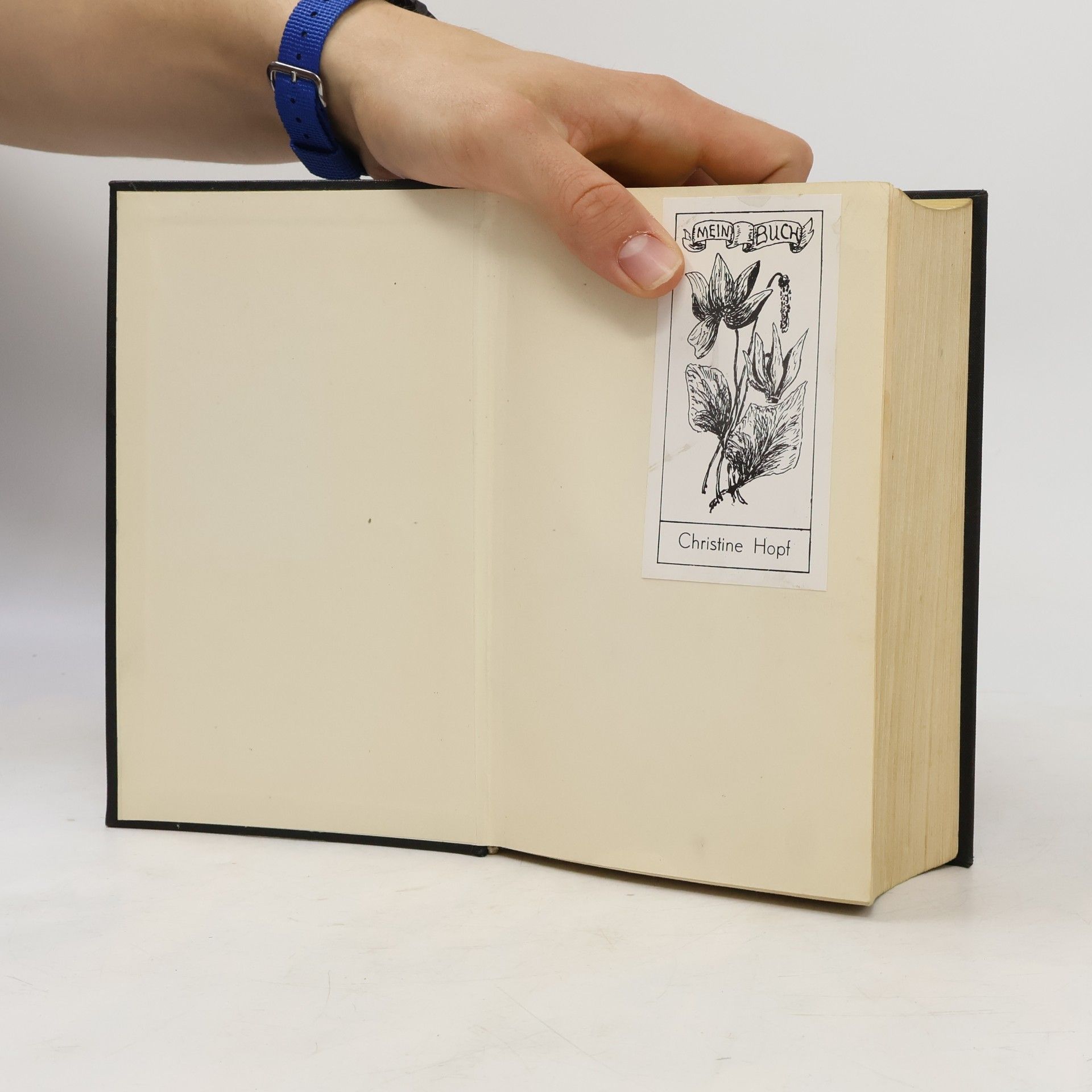 Alexandre Dumas der Ältere Der Graf von Monte Christo