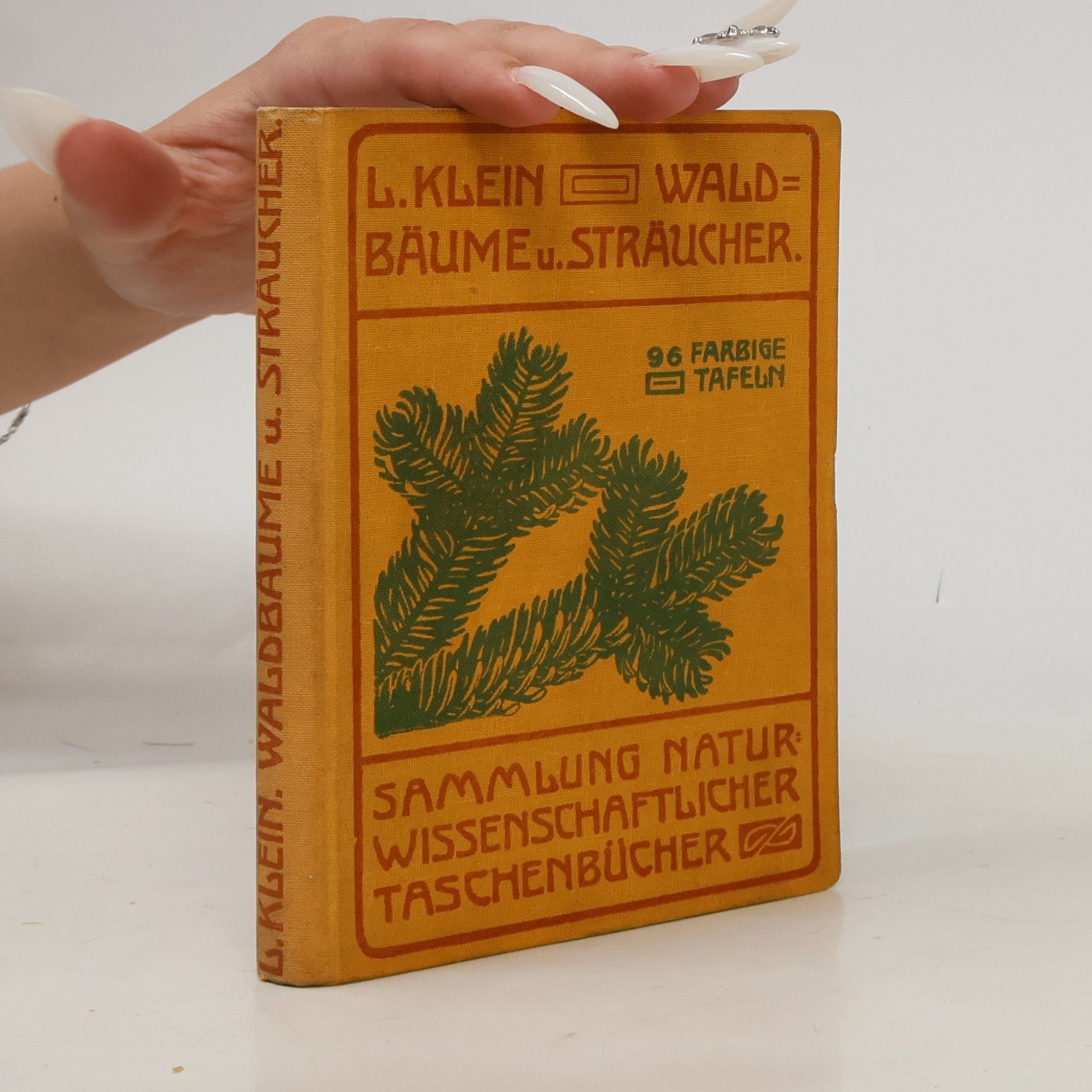 L. Klein Unsere Waldbäume, Sträucher und Zwergholzgewächse