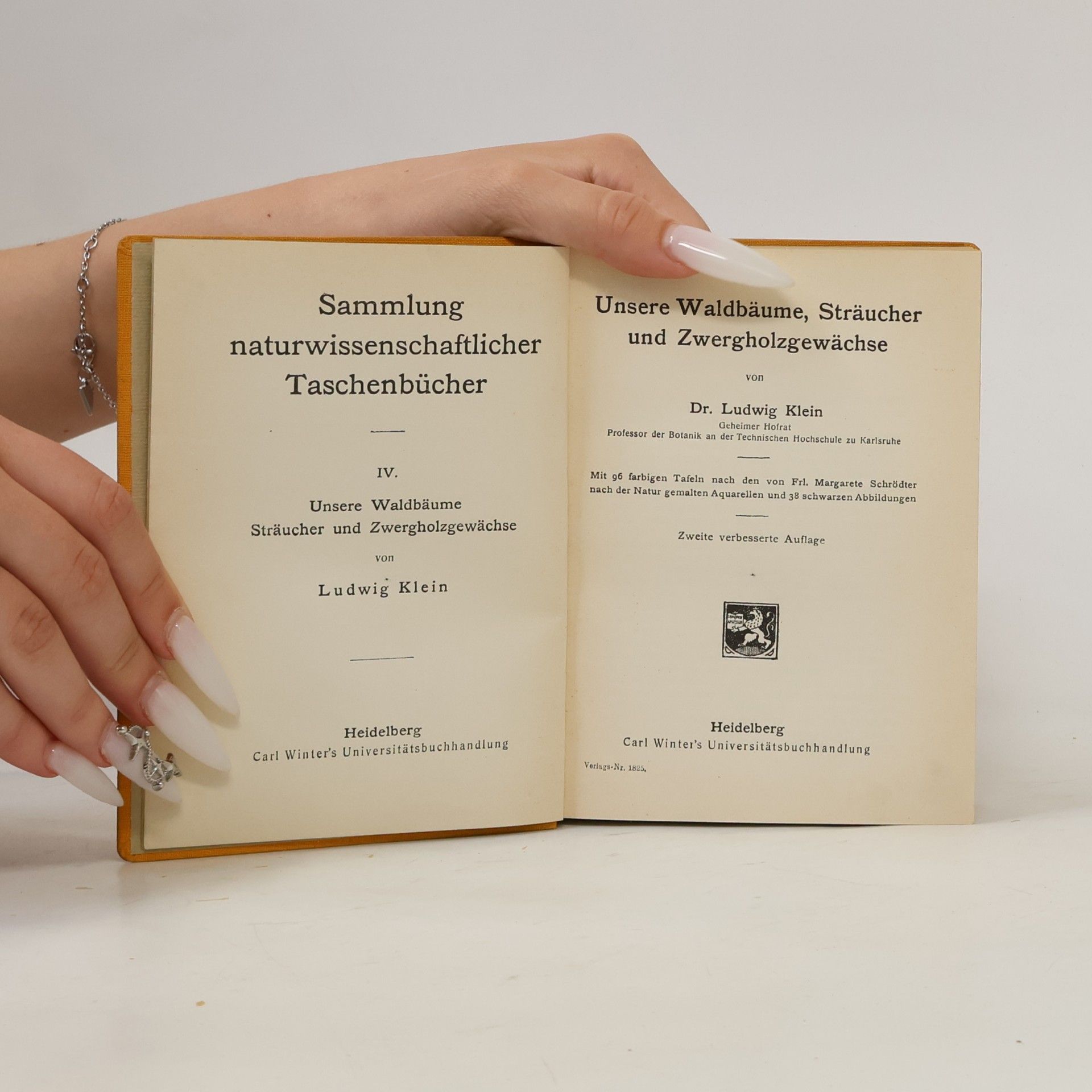 L. Klein Unsere Waldbäume, Sträucher und Zwergholzgewächse