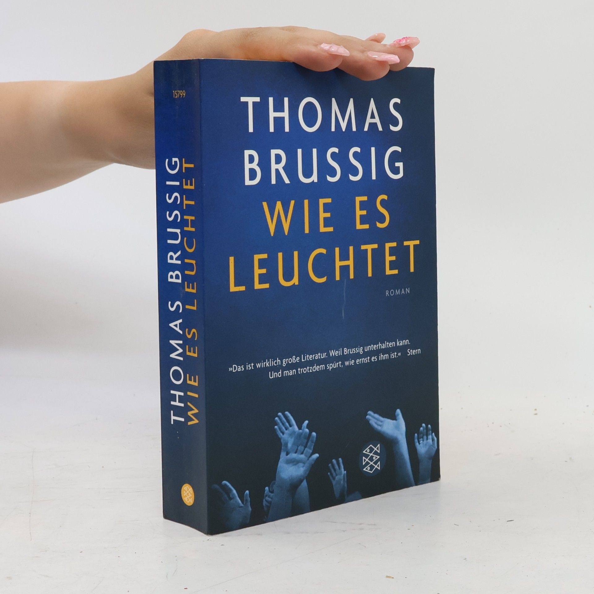 Wie es leuchtet : Roman
