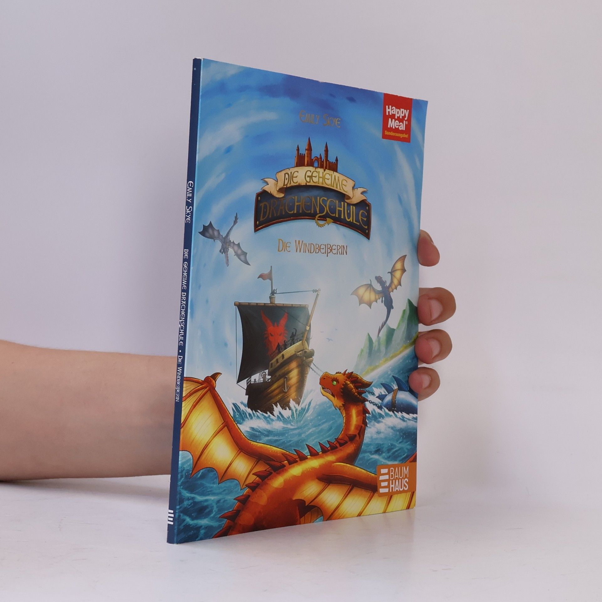 Emily Skye Die geheime Drachenschule