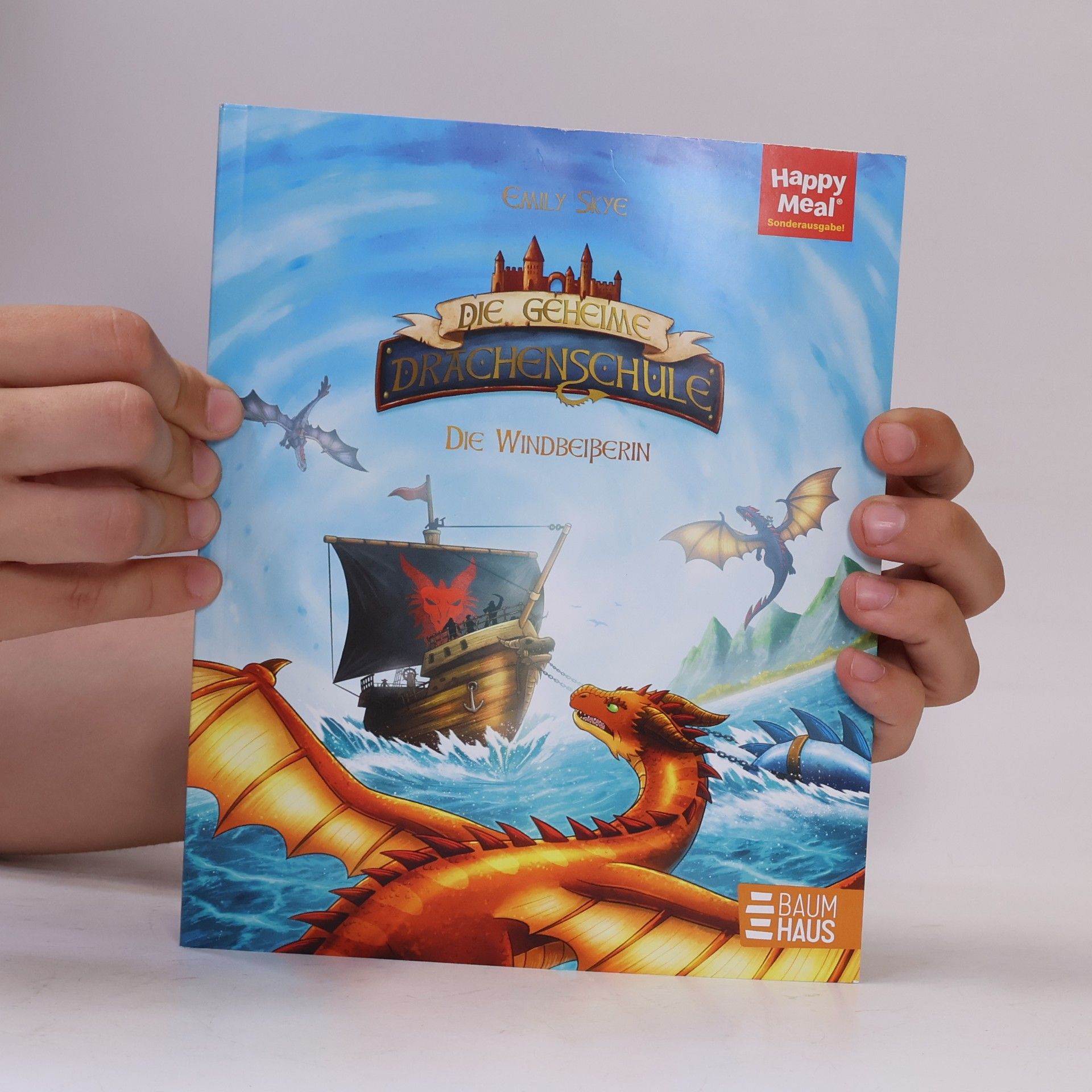Emily Skye Die geheime Drachenschule
