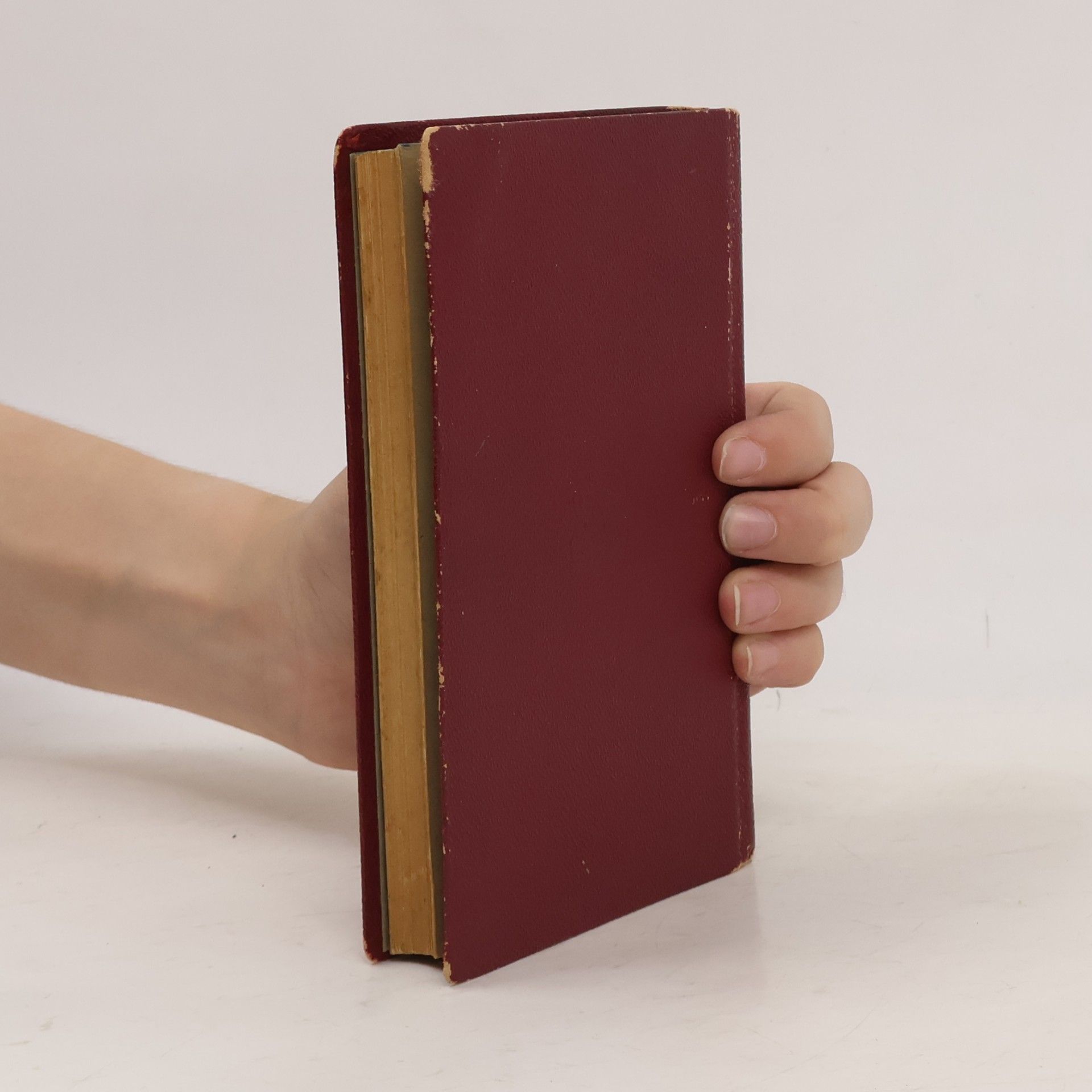 Franz Xaver Brors S. J. Gloria in excelsis Deo! oder „Wie lebe ich mit der Kirche?“
