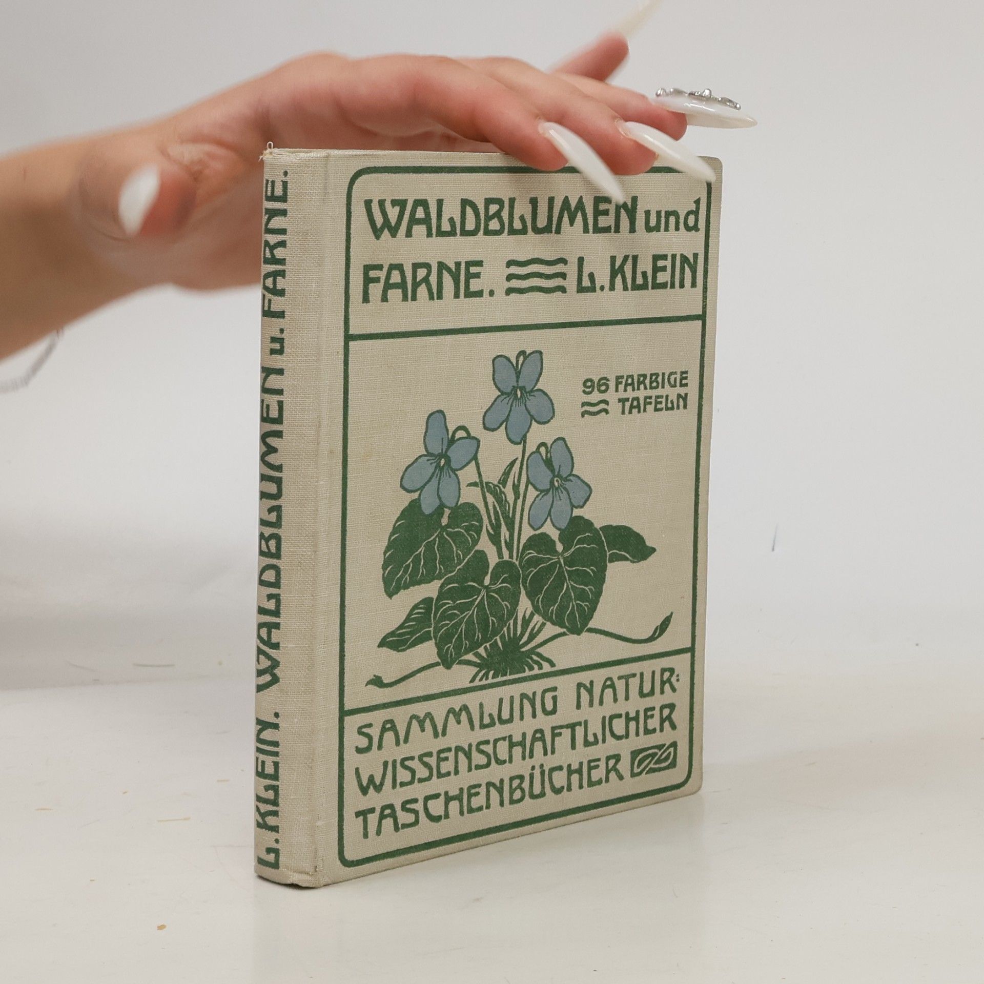 Ludwig Klein Unfere Waldblumen und Farnewächte