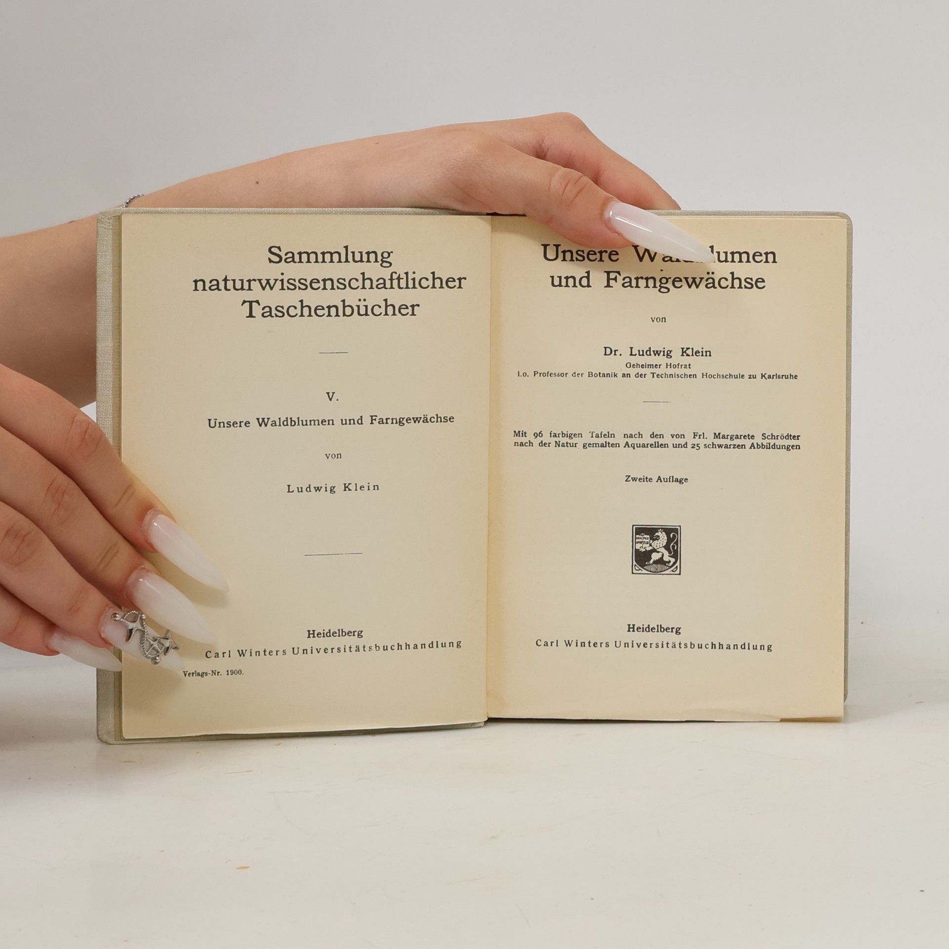 Ludwig Klein Unfere Waldblumen und Farnewächte