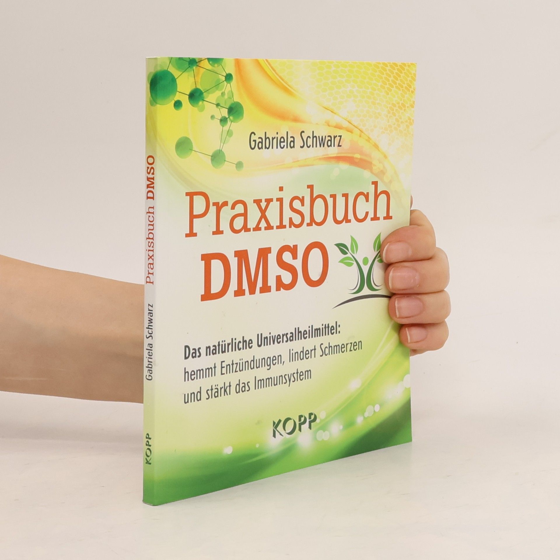 Gabriela Schwarz Praxisbuch DMSO
