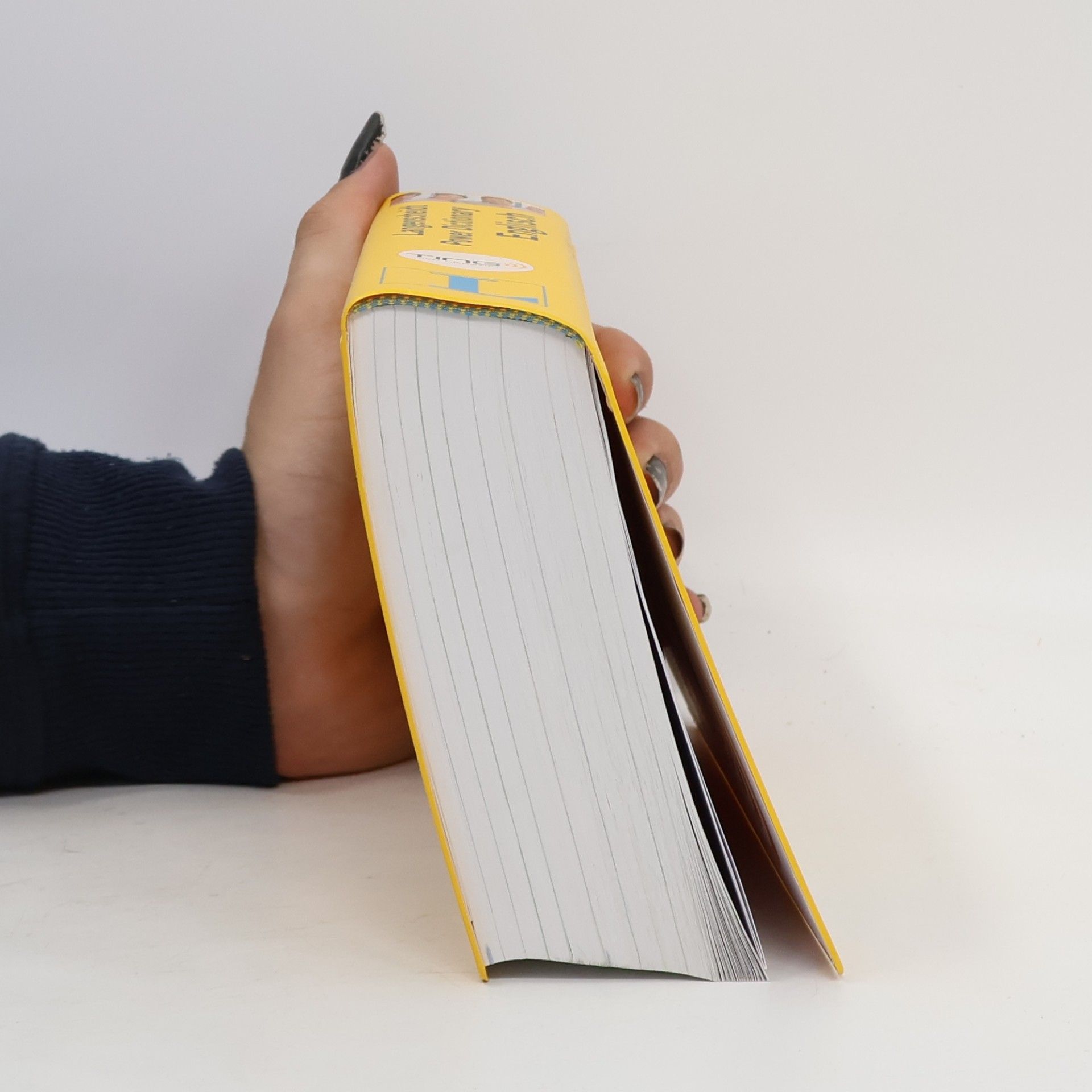 Wolfgang Walther Langenscheidt, Power dictionary Englisch