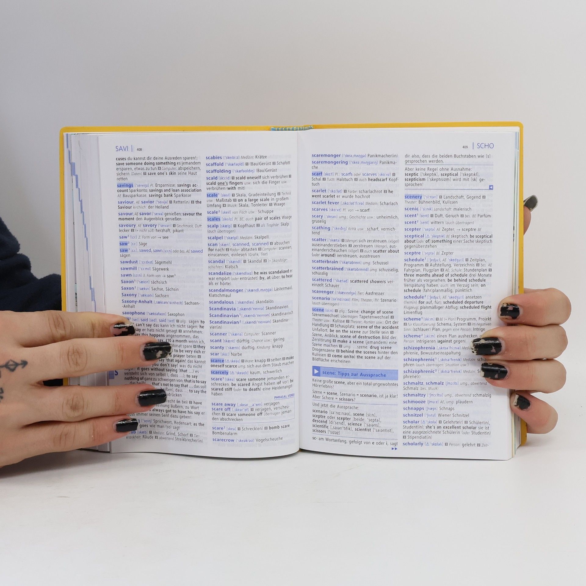 Wolfgang Walther Langenscheidt, Power dictionary Englisch