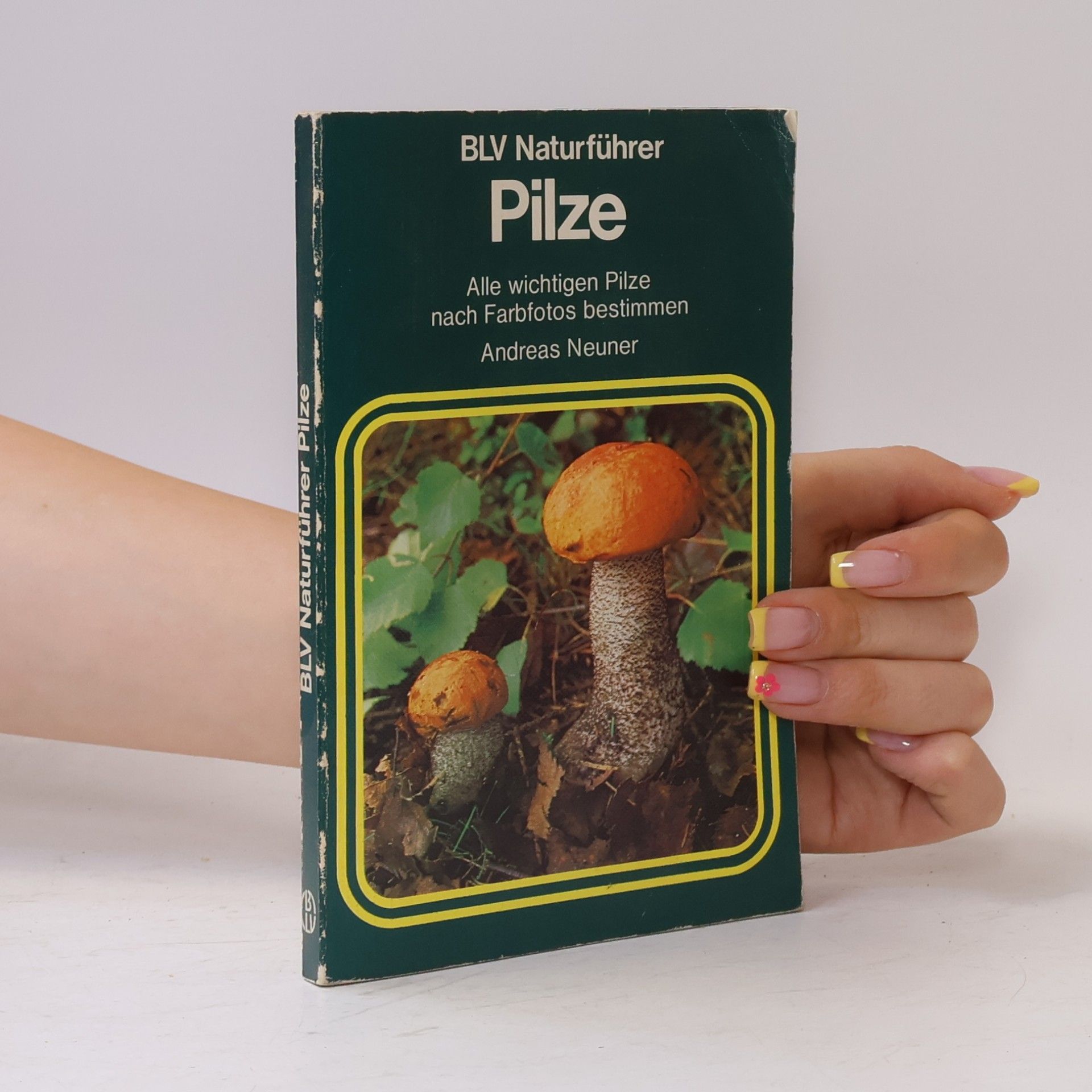 Andreas Neuner Pilze