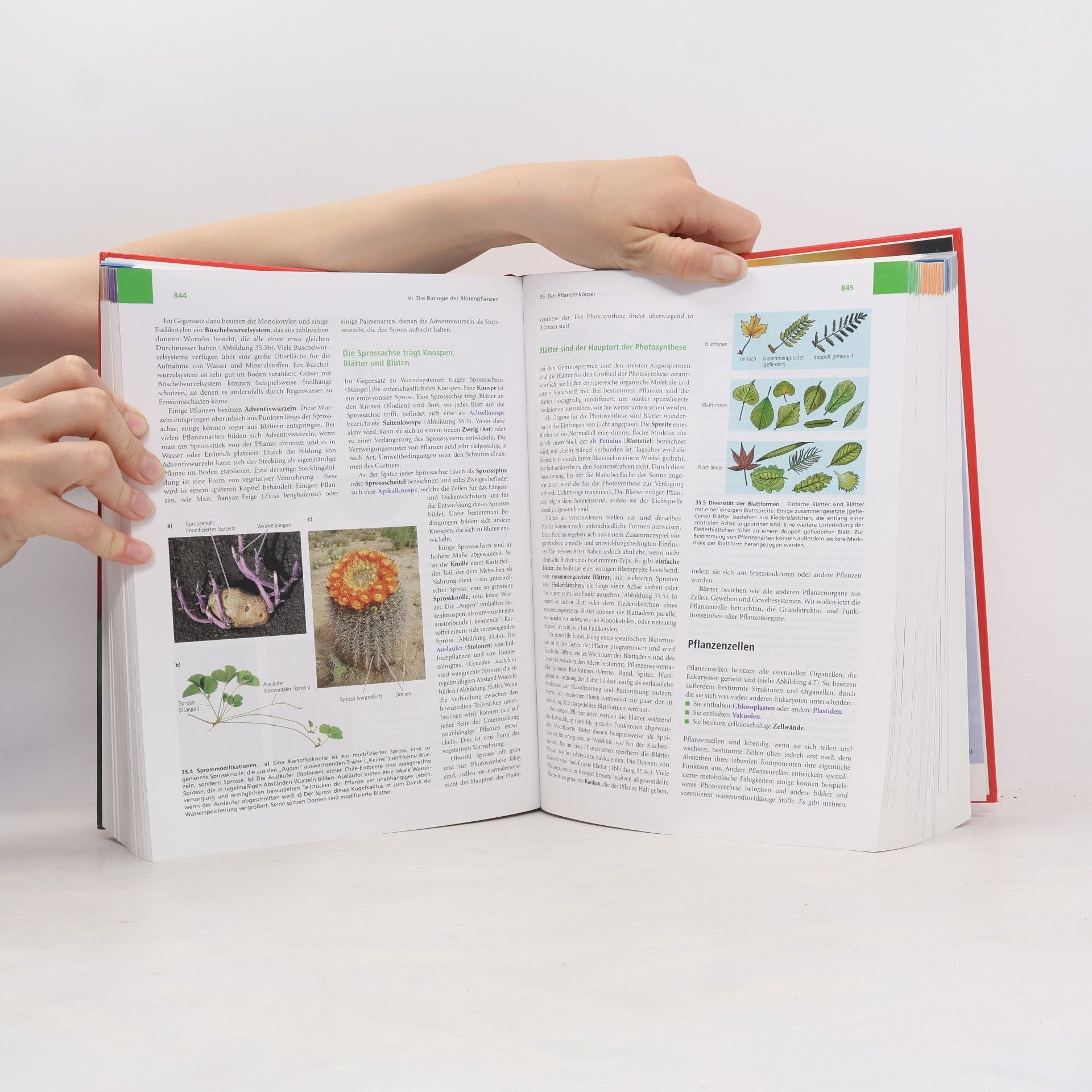 William K. Purves Biologie