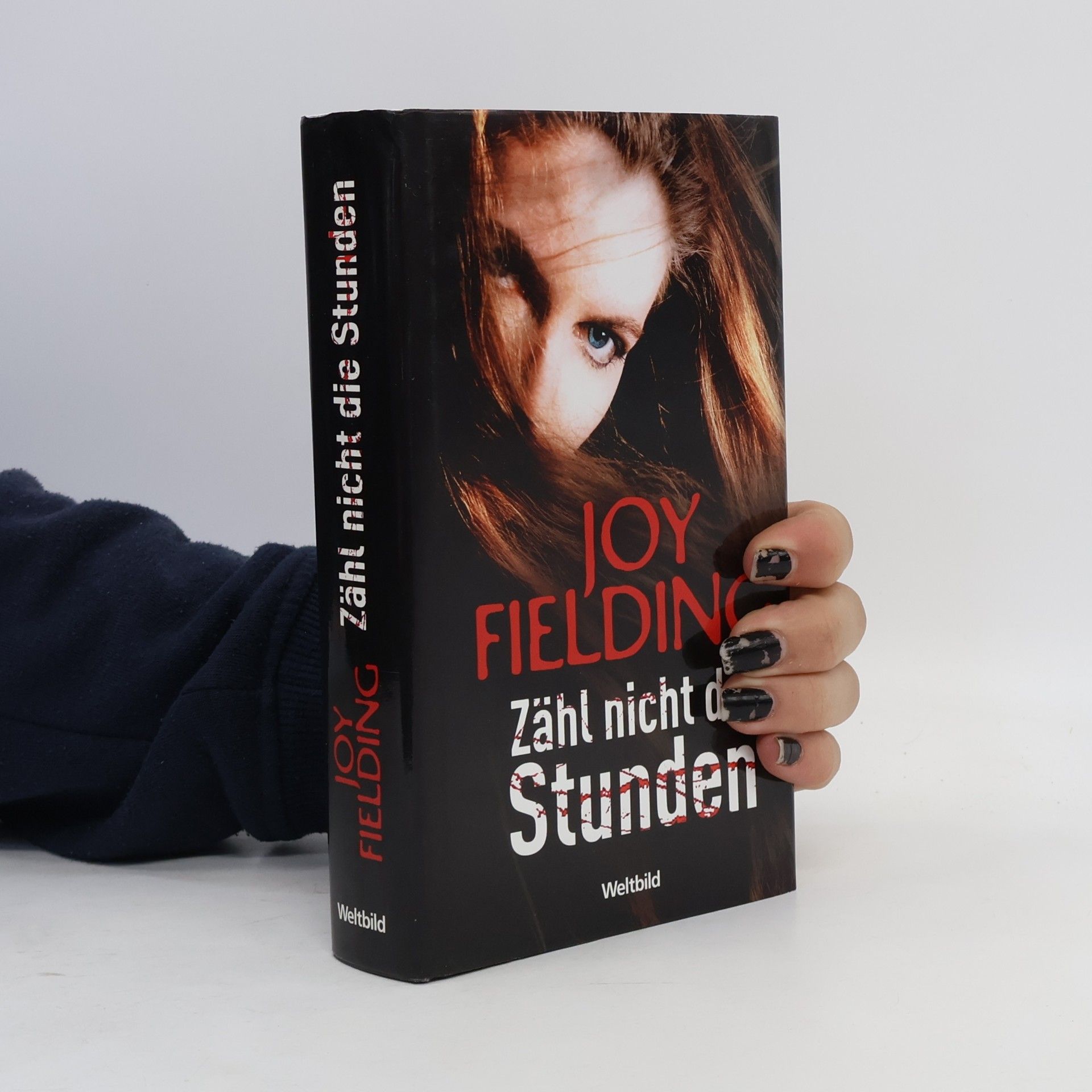 Joy Fielding Zähl nicht die Stunden