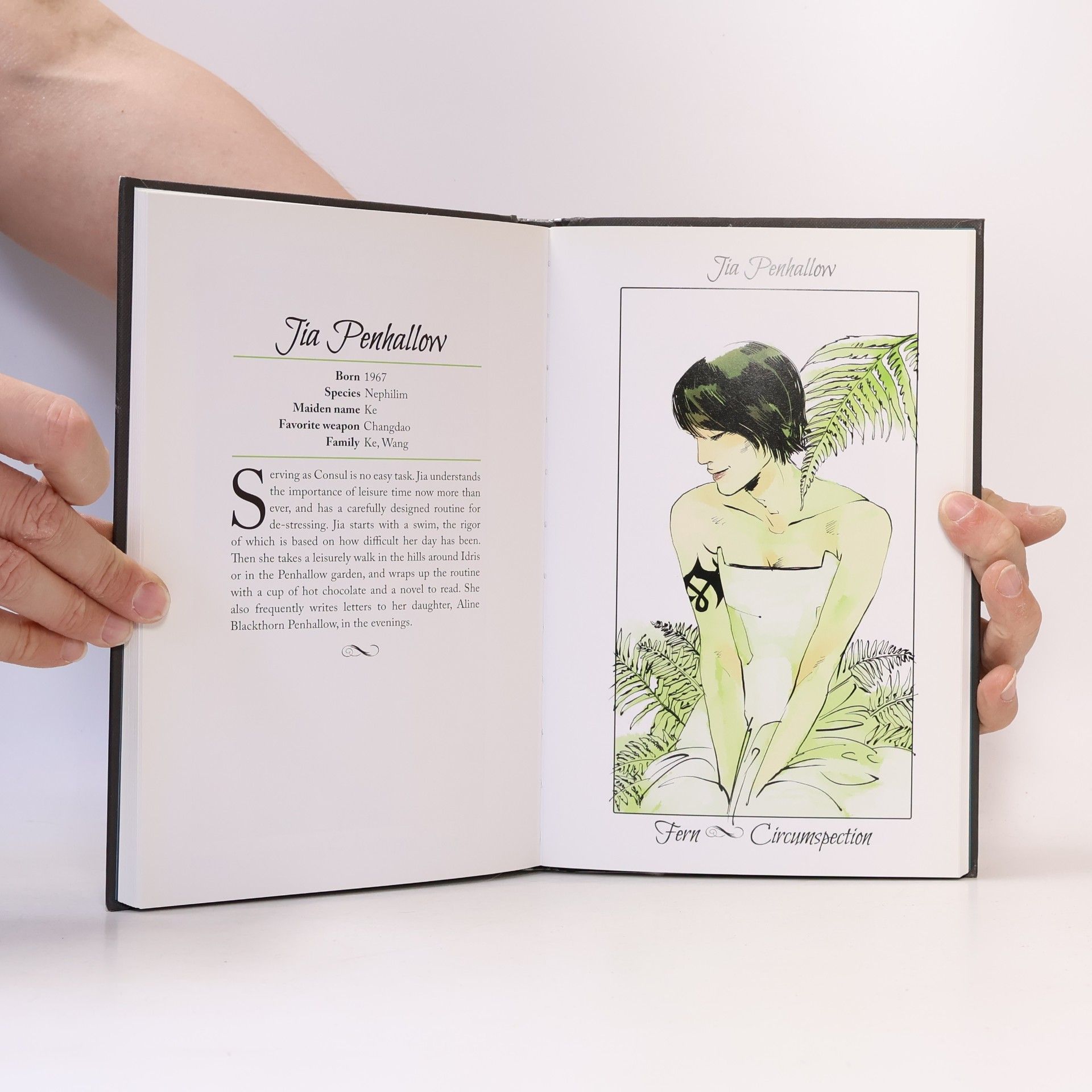 Cassandra Clare An Illustrated History of Notable Shadowhunters & Denizens of Downworld