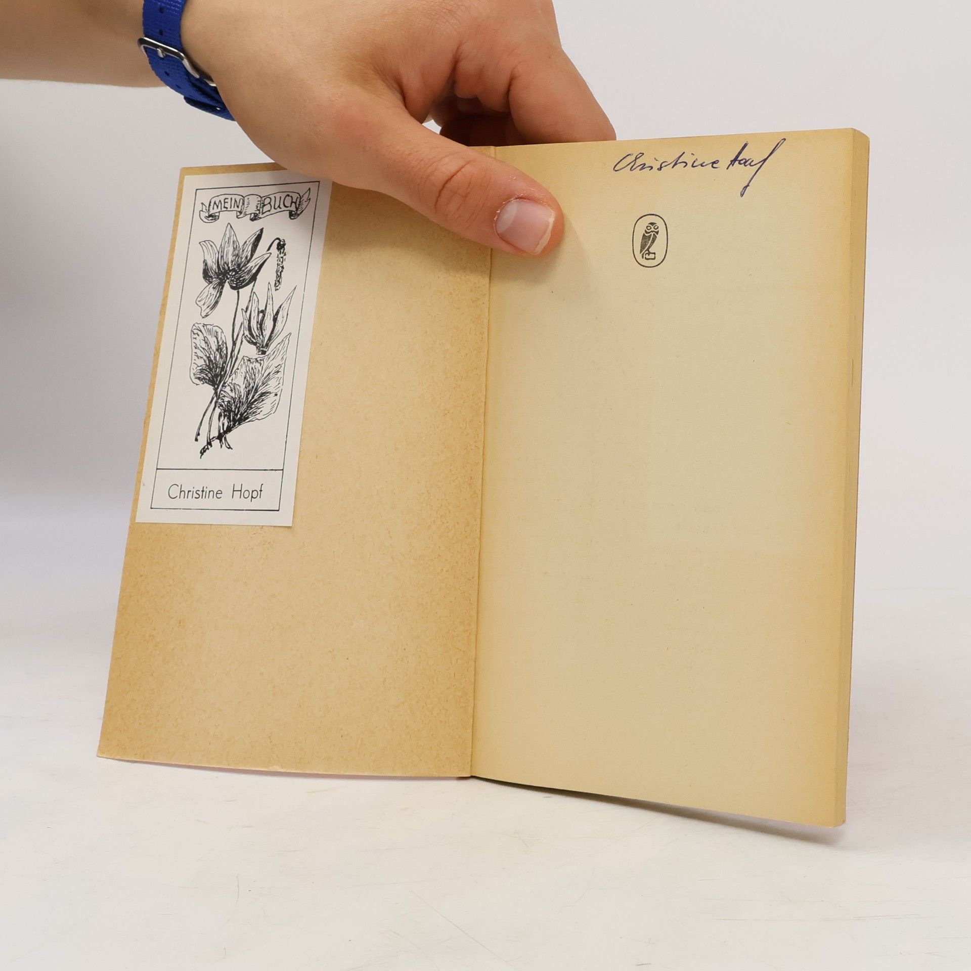 Françoise Sagan Ein gewisses Lächeln