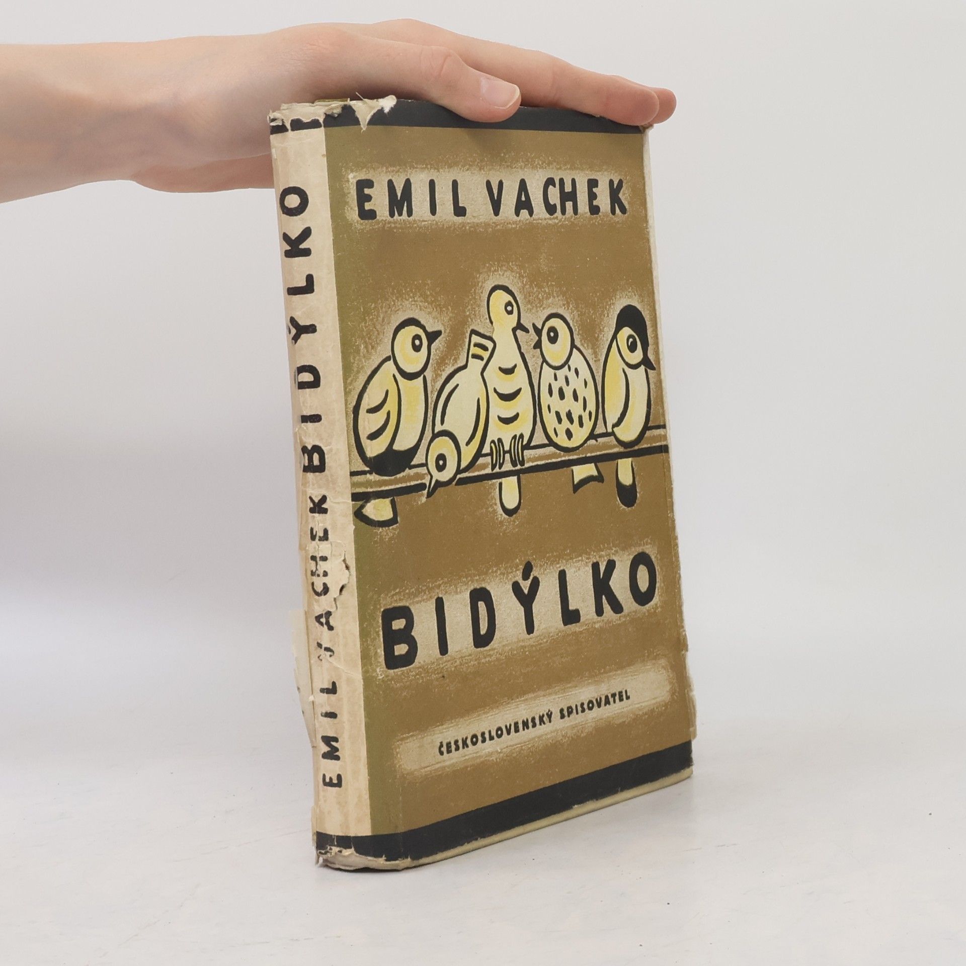 Emil Vachek Bidýlko