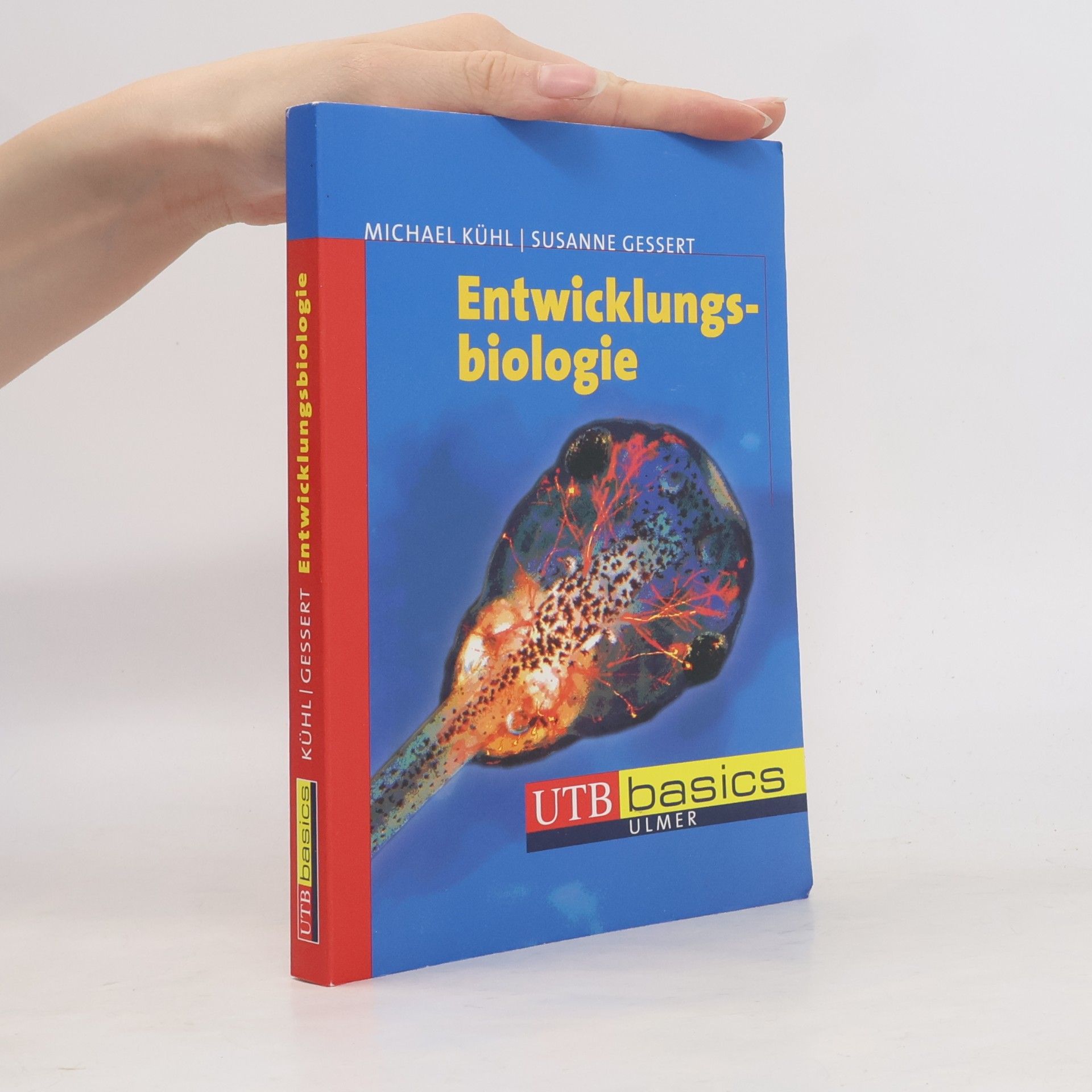 Susanne Kühl Entwicklungsbiologie