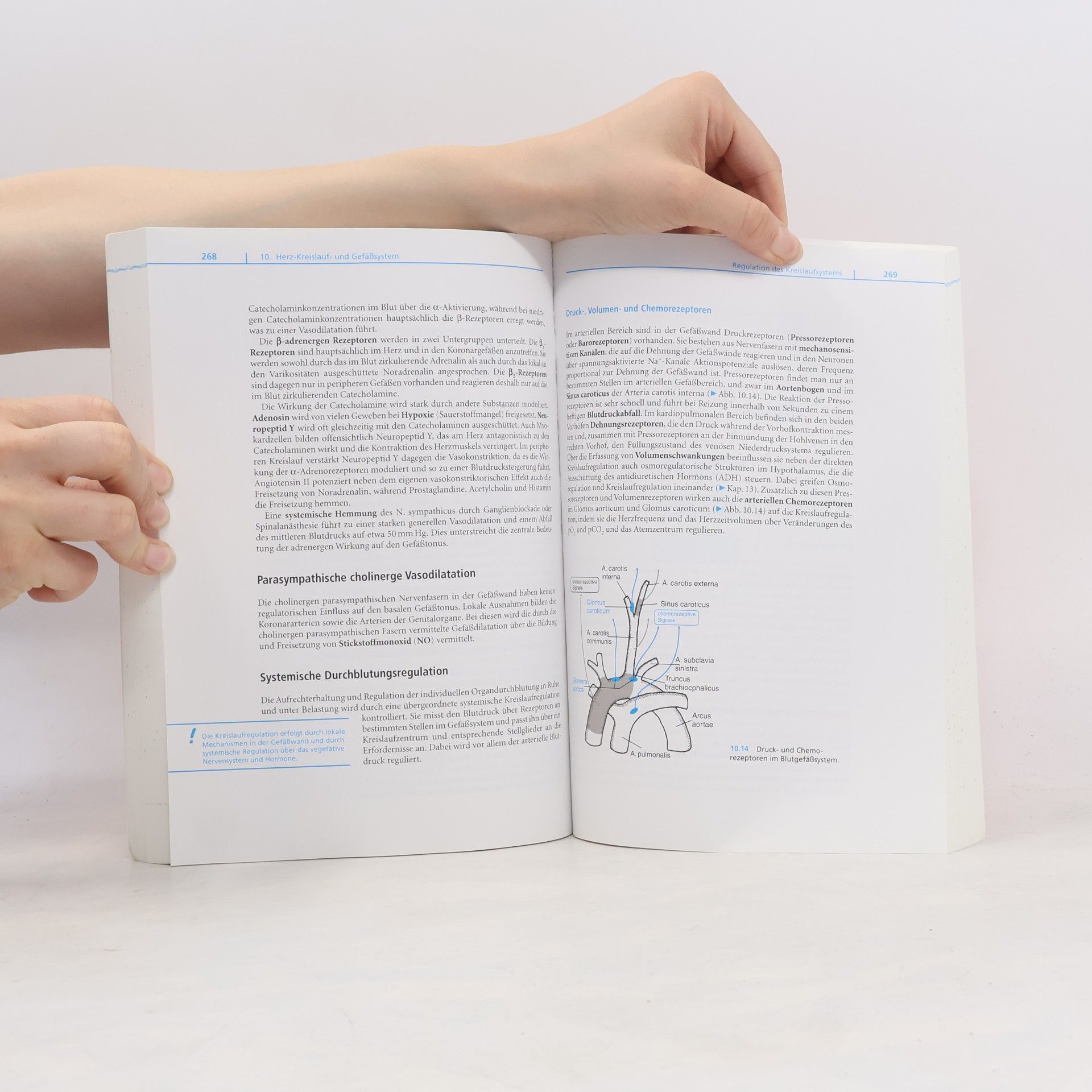 Wolfgang Clauss Humanbiologie kompakt - Lehrbuch - 2. Auflage