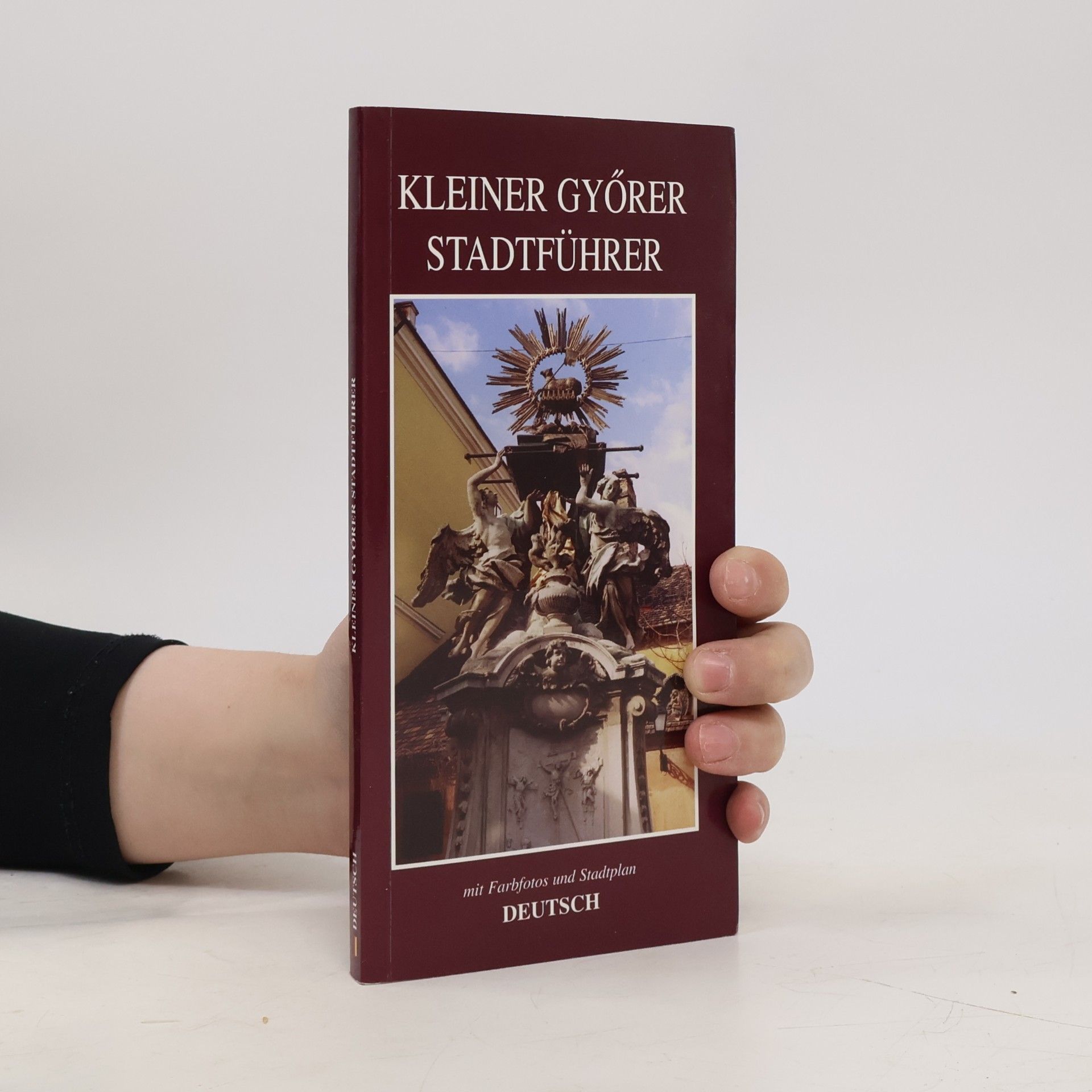 Gábor Horváth Kleiner Győrer Stadtführer