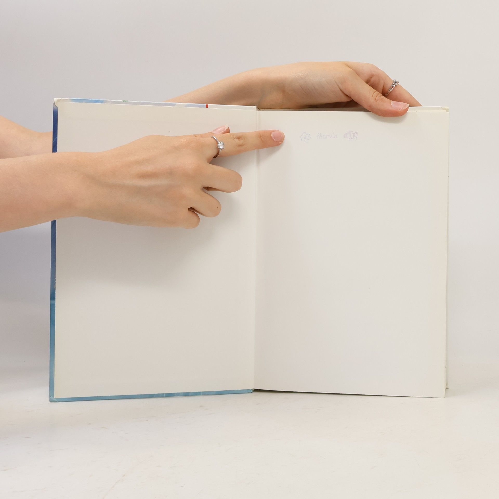 Autorenkollektiv Die neue bilder Bibel für Kinder