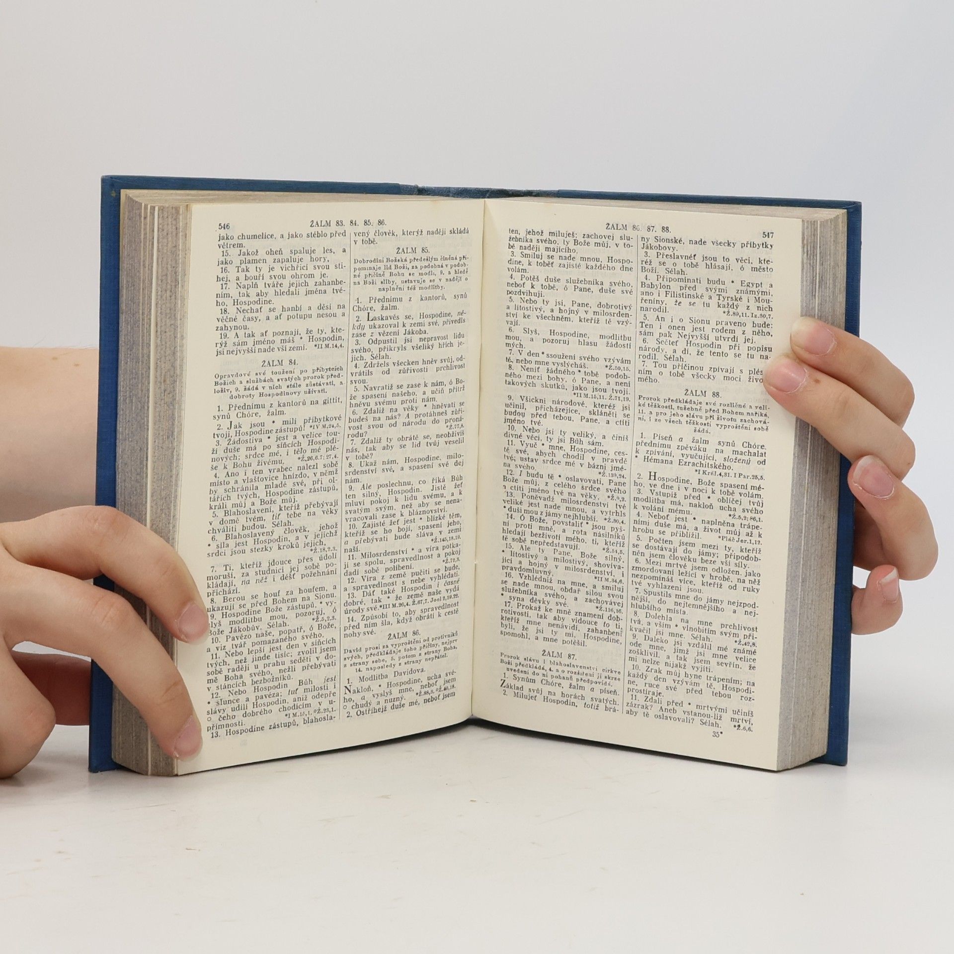 Autorenkollektiv Biblí svatá
