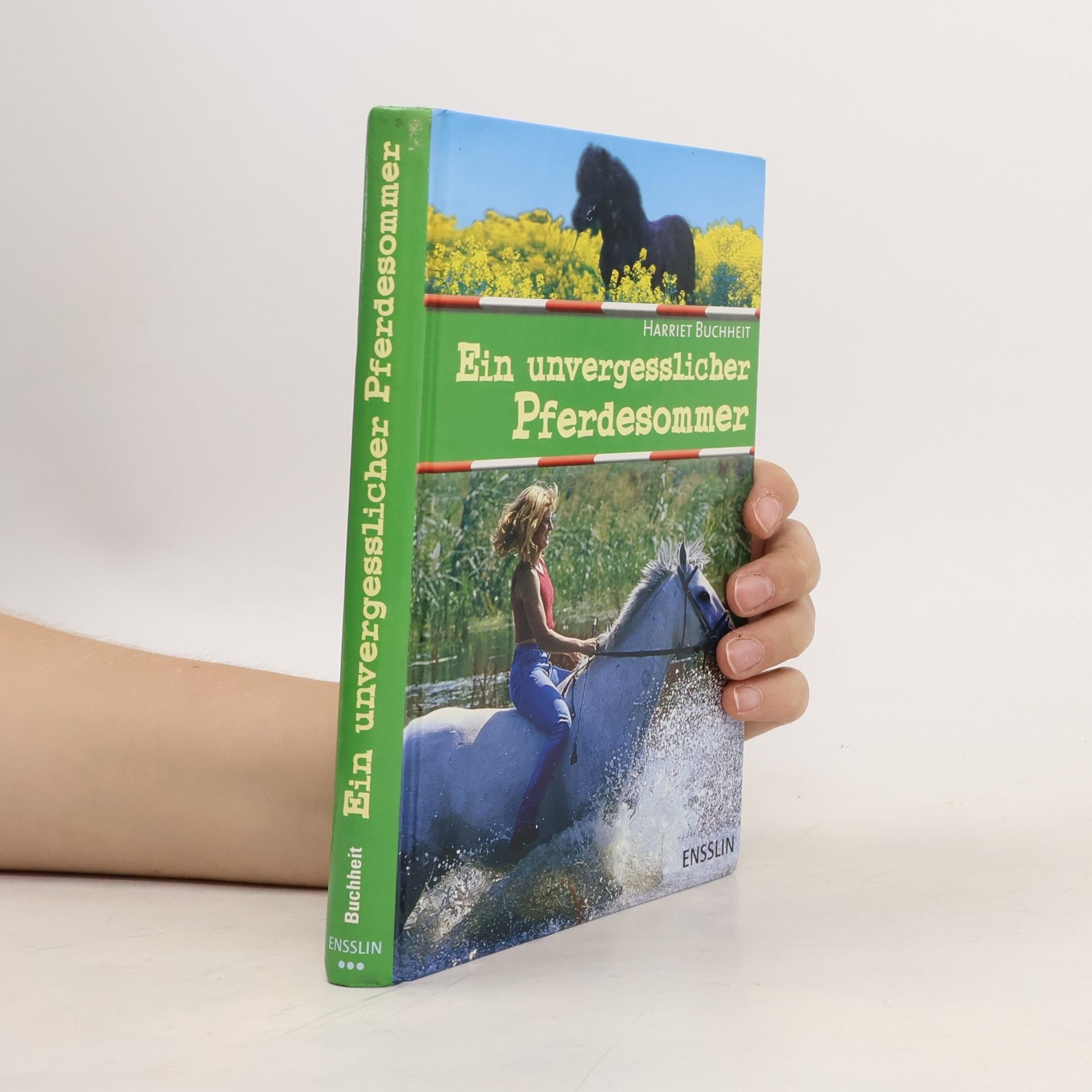 Harriet Buchheit Ein unvergesslicher Pferdesommer