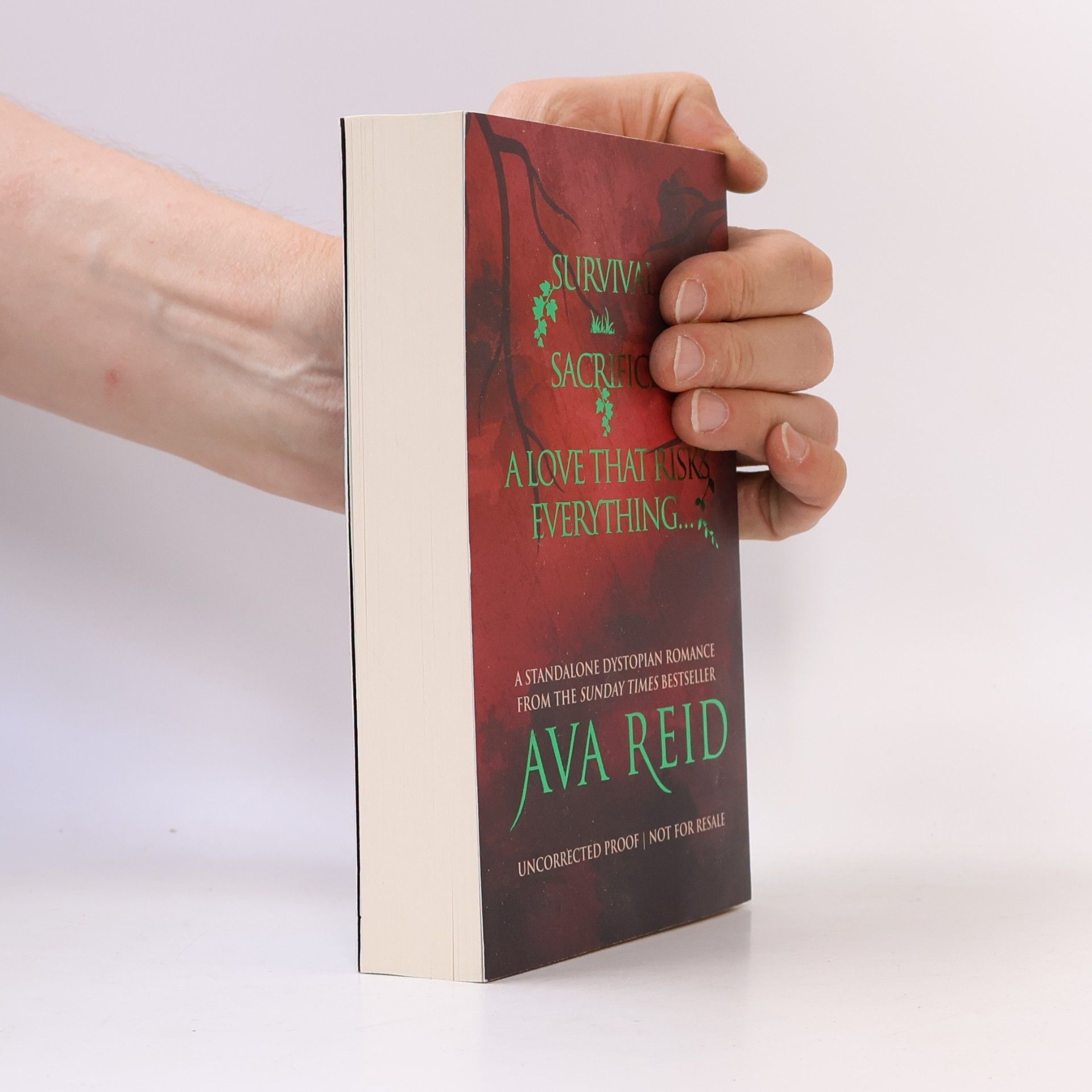 Ava Reid Fable For the End of the World