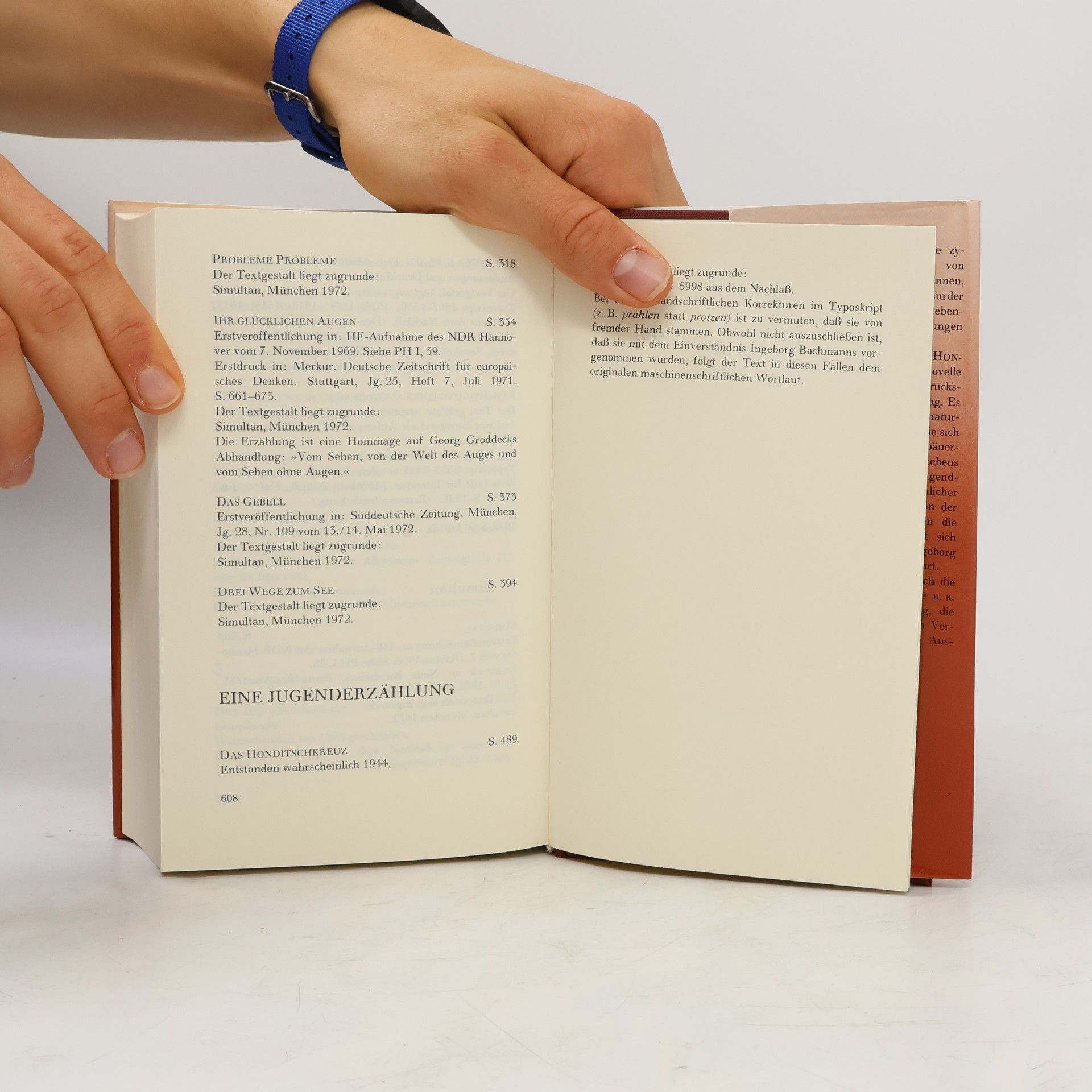 Ingeborg Bachmann Werke 2
