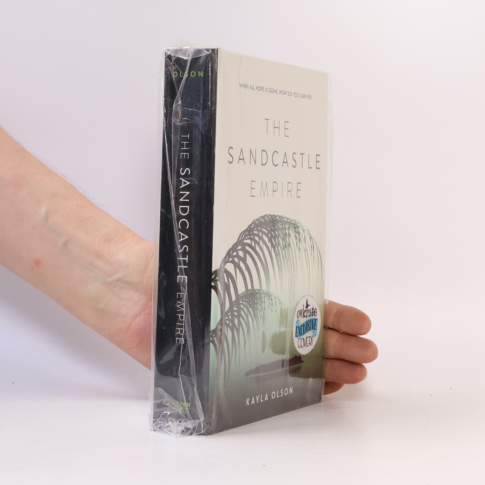 Kayla Olson The Sandcastle Empire